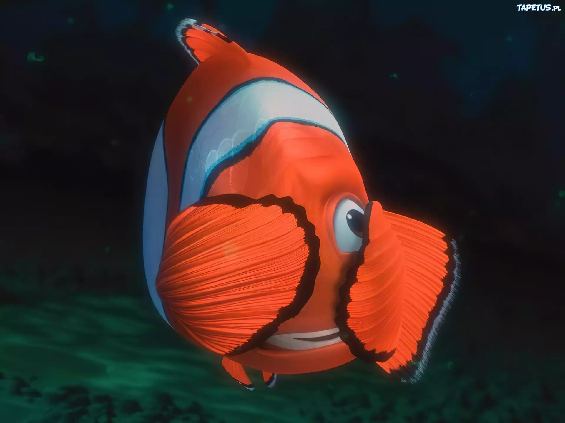 Rybka, Gdzie, Jest, Nemo