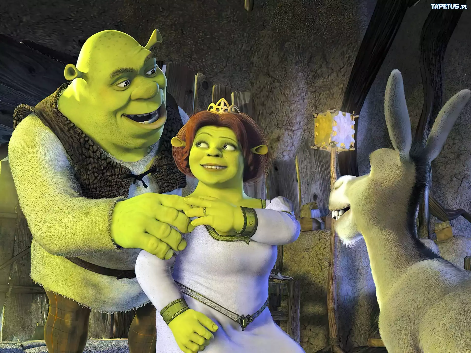 Shrek, Fiona, Osioł