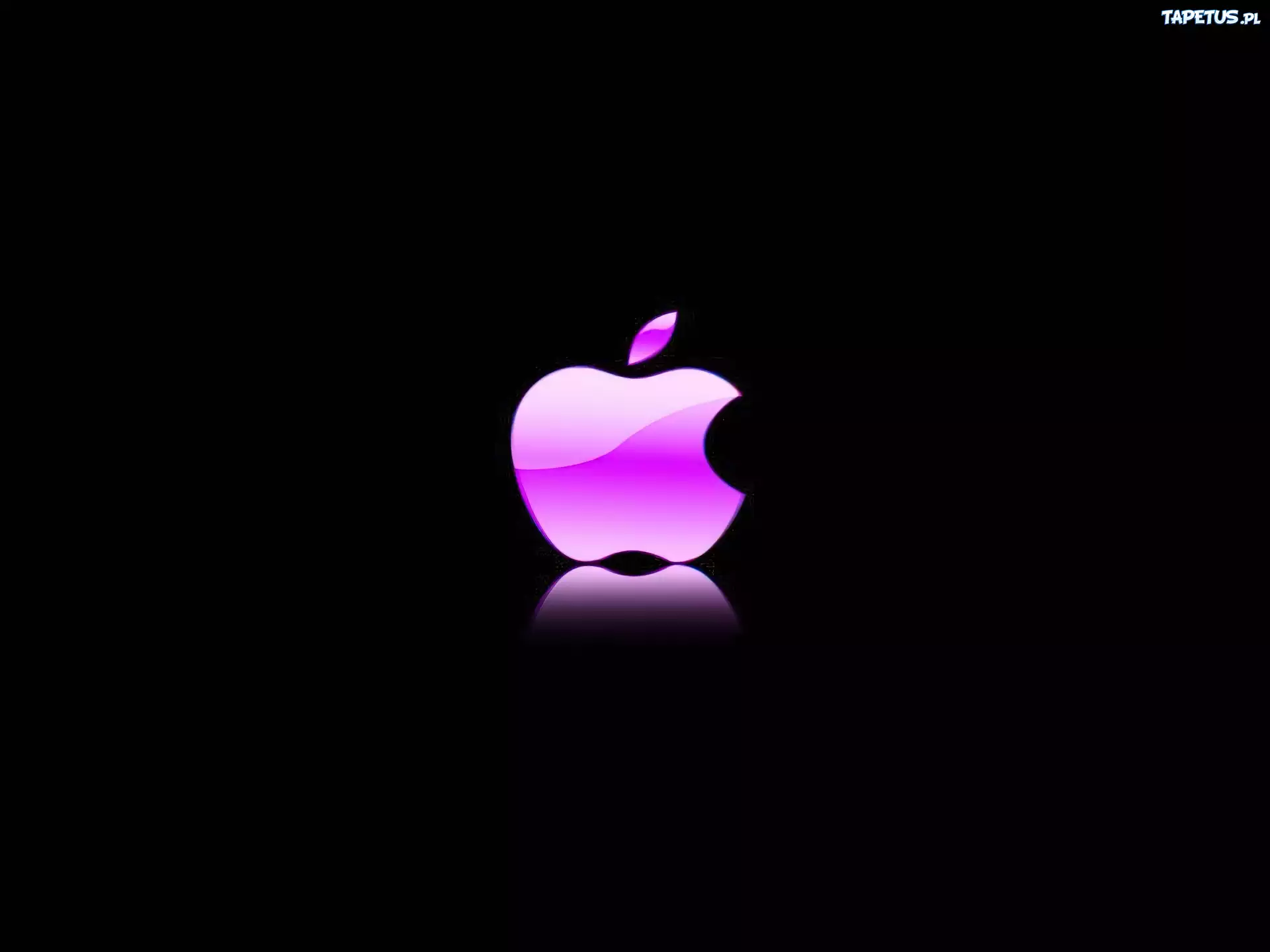Różowe, Logo, Apple, Czarne, Tło