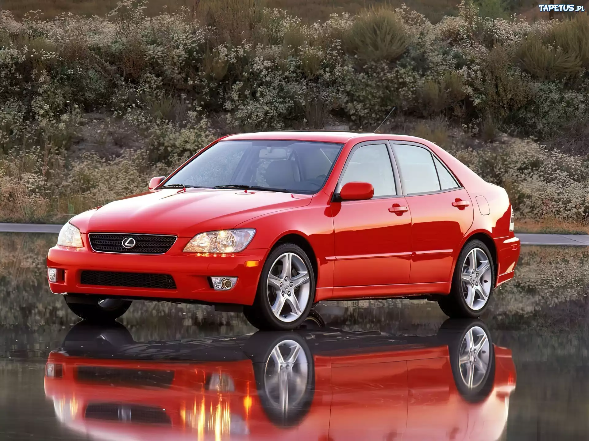 Lexus IS, 300