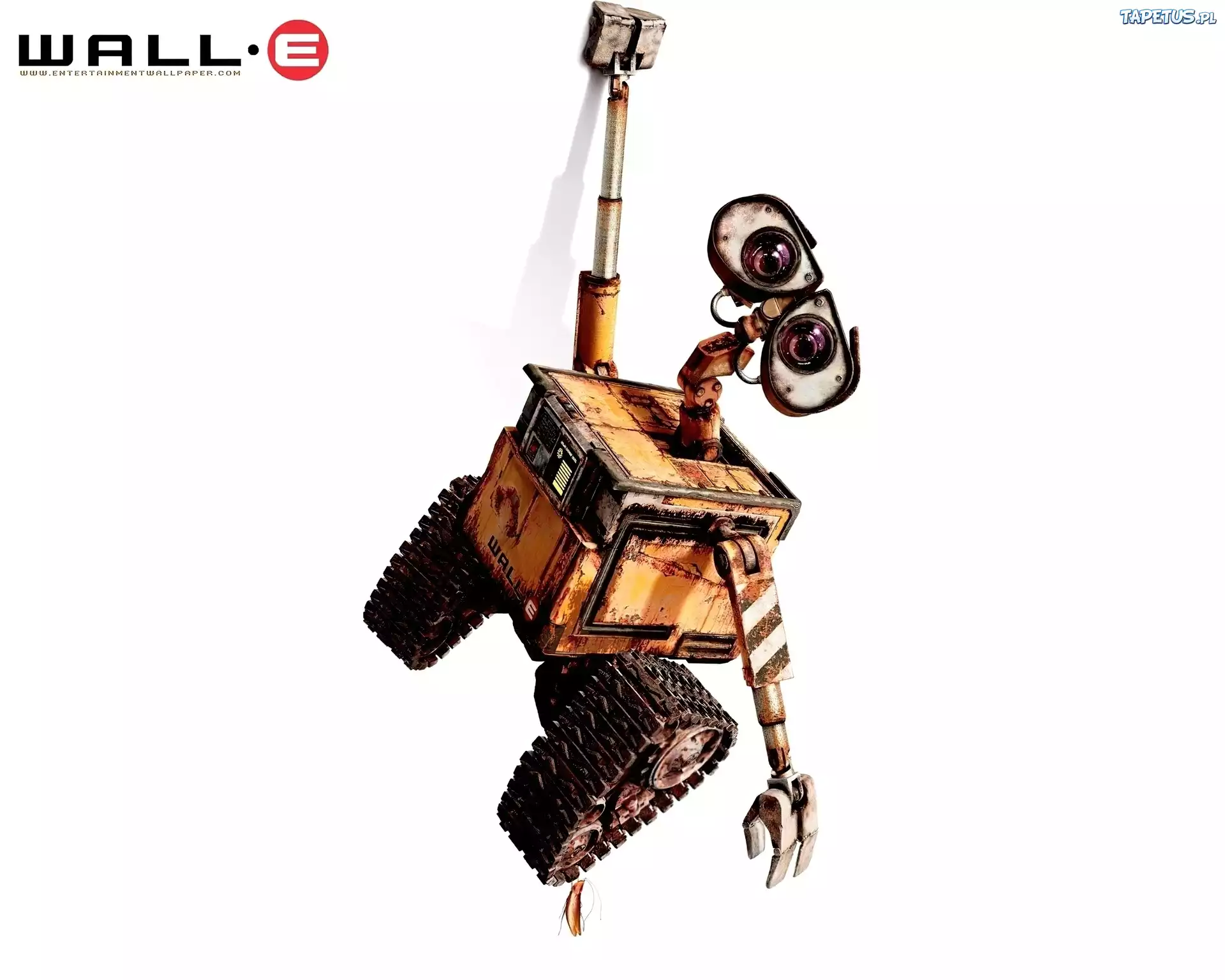 Wall E, wisi
