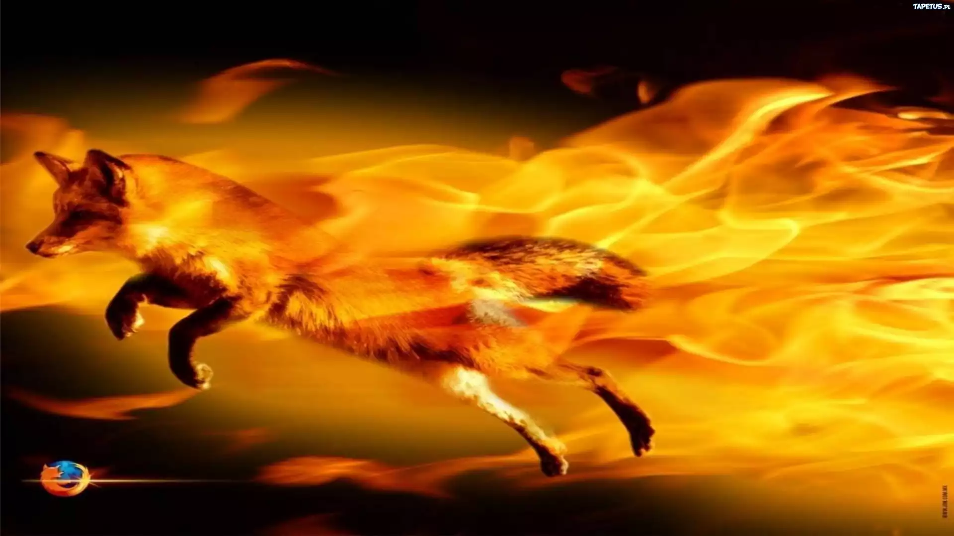 Ognisty, Lis, Logo, Firefox