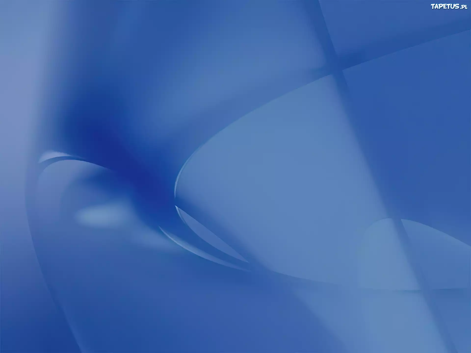 Windows XP
