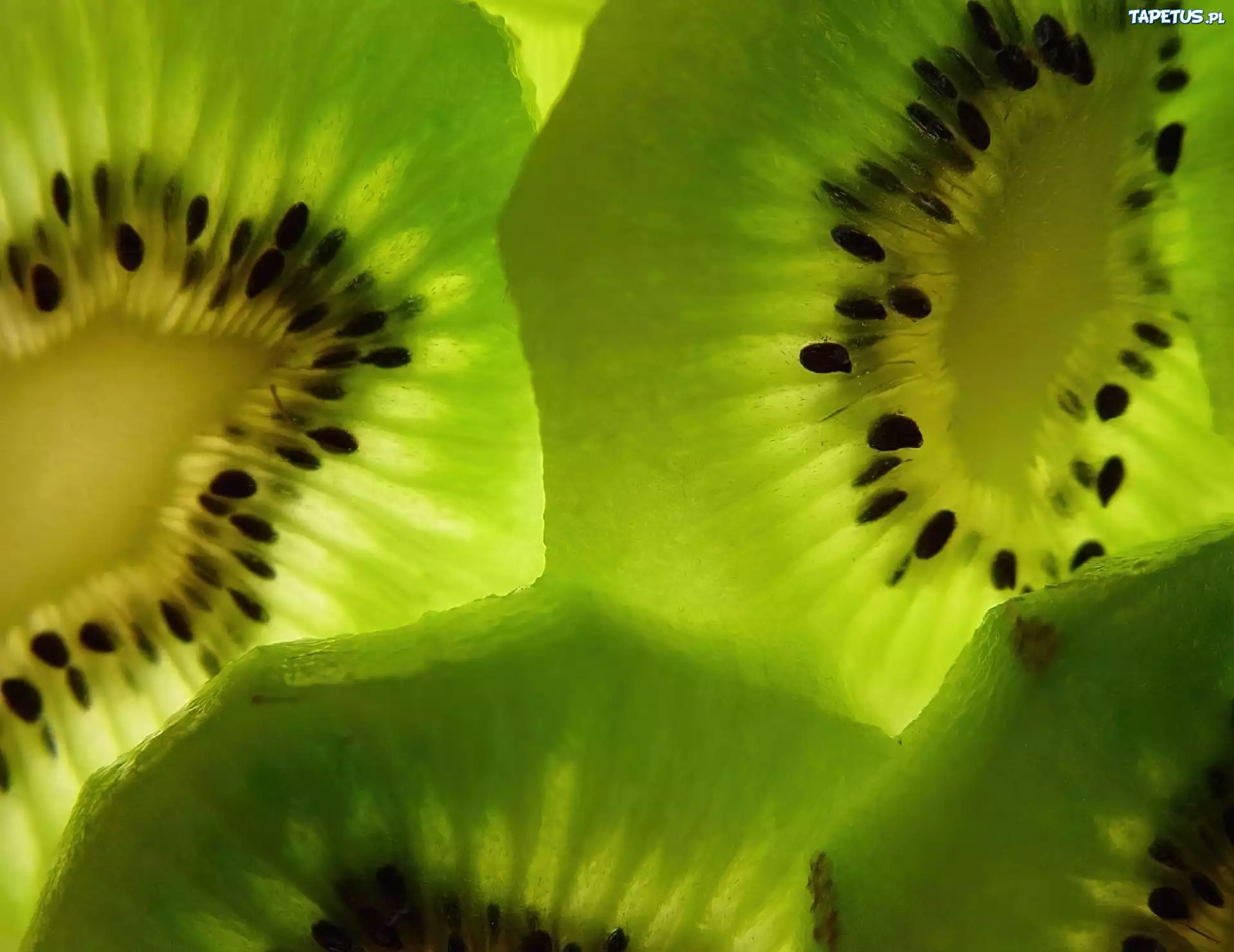 Plasterki, Kiwi