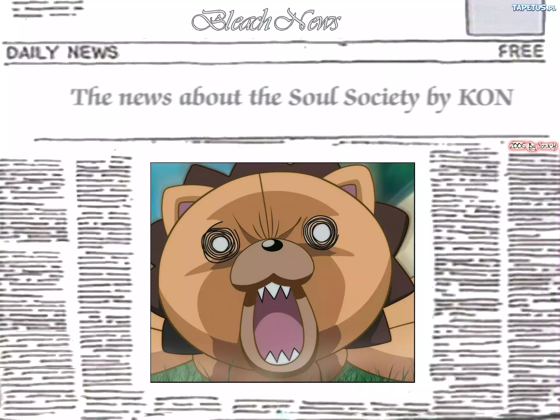 Kon, Zdjęcie, Gazeta