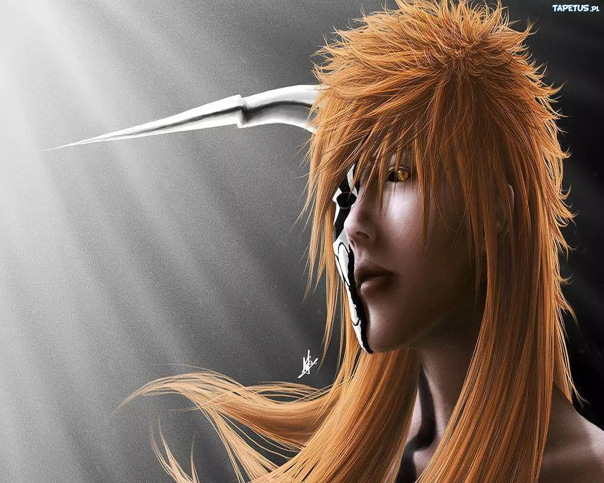 Ichigo, Hollow