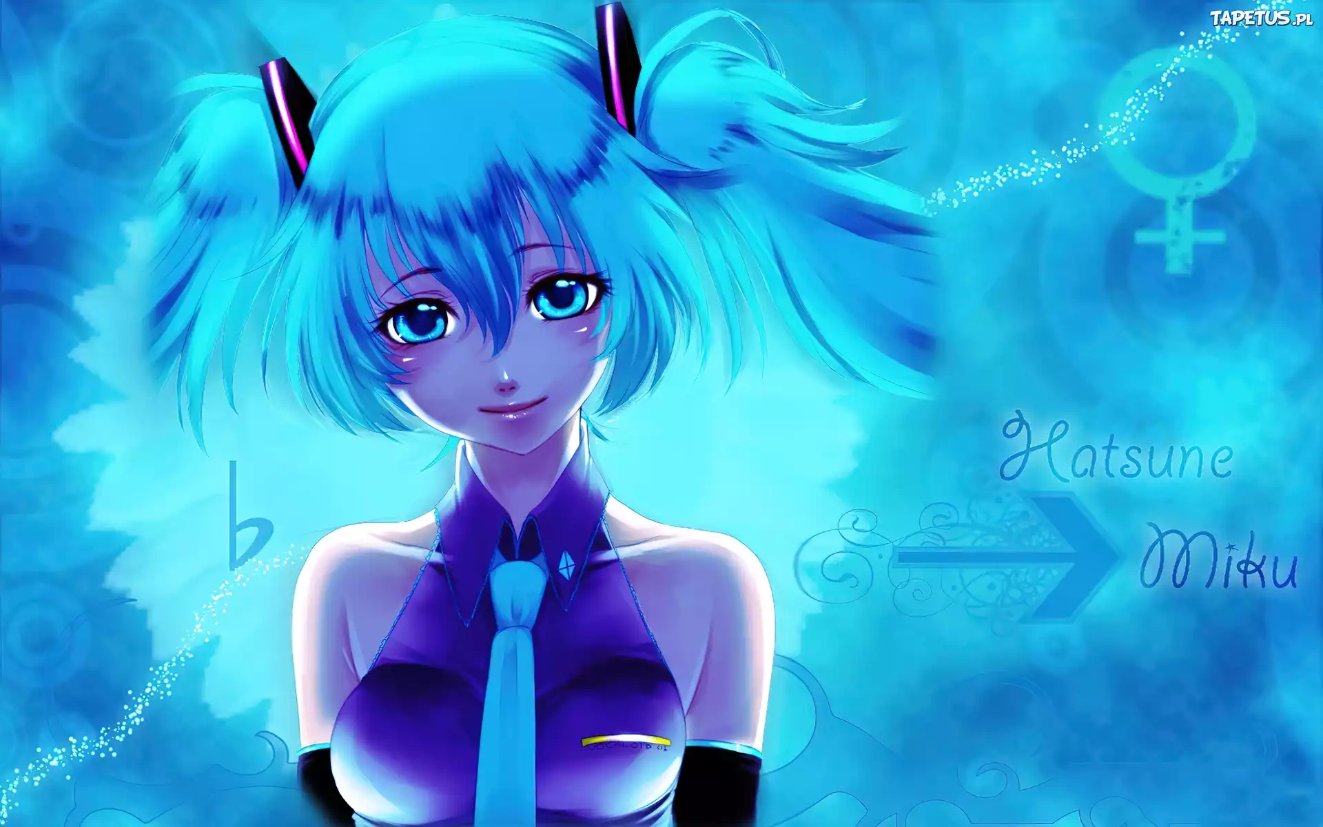 Hatsune Miku, Dziewczyna
