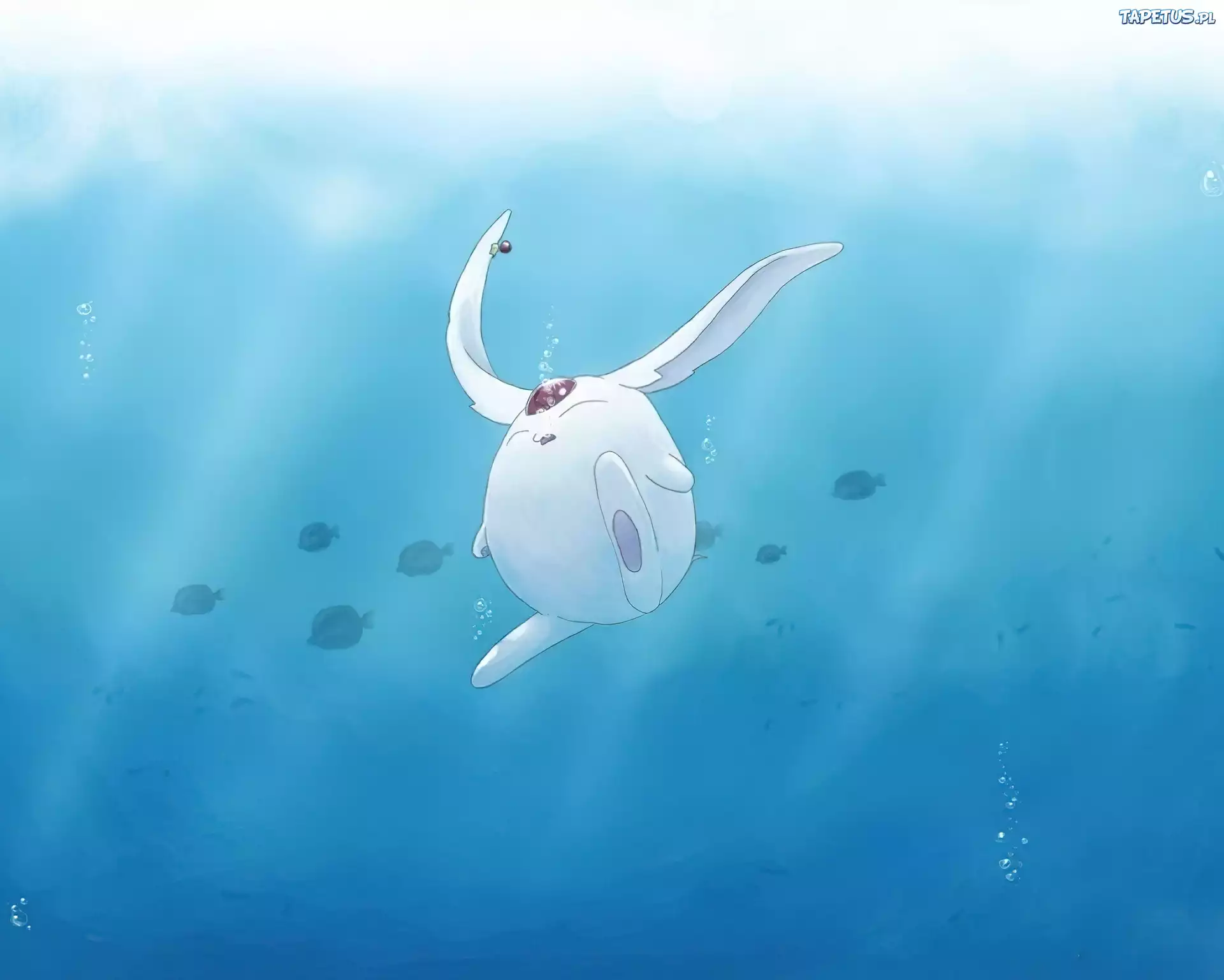 Mokona