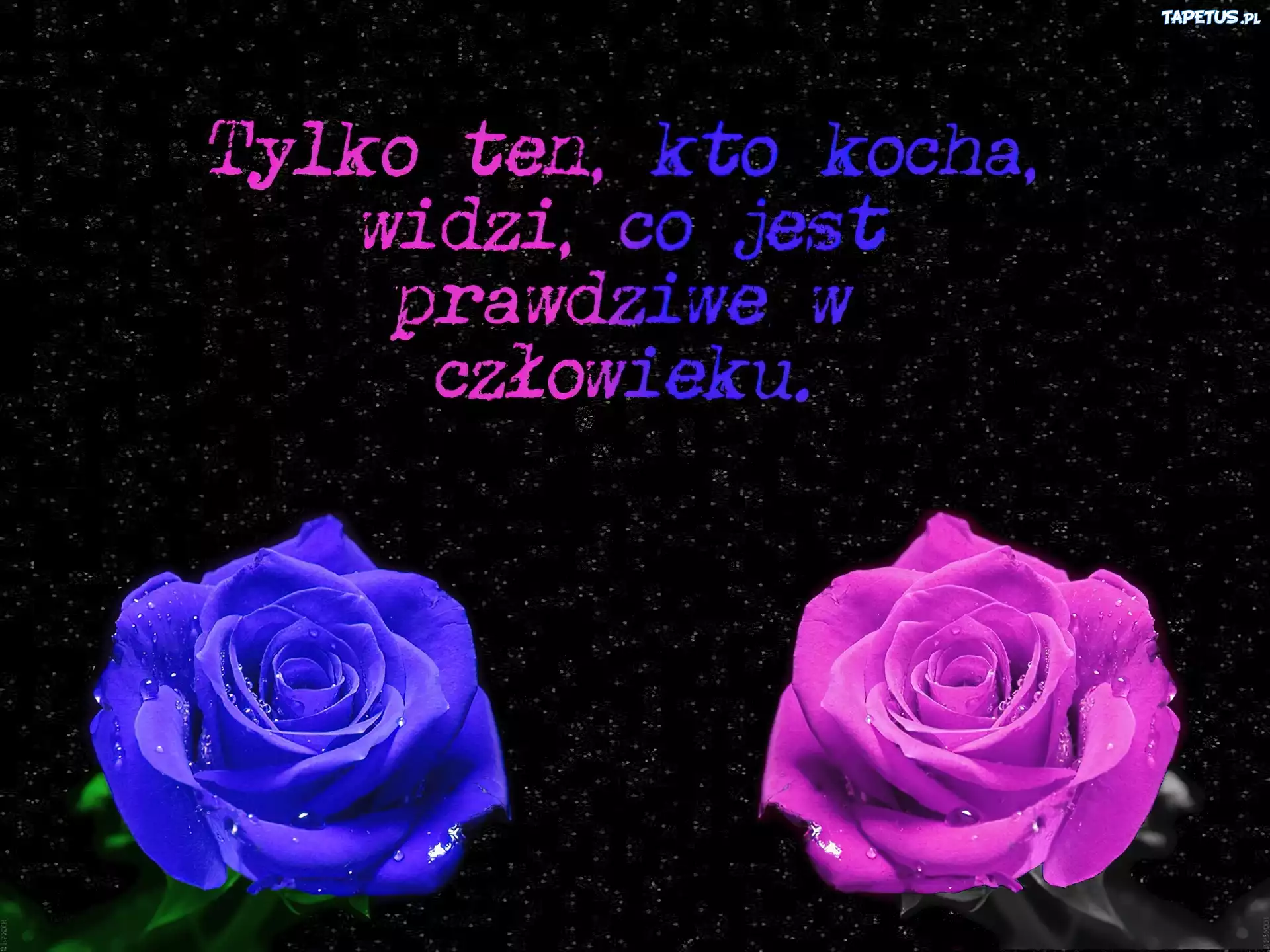 Dwie, Kolorowe, Róże, Przesłanie