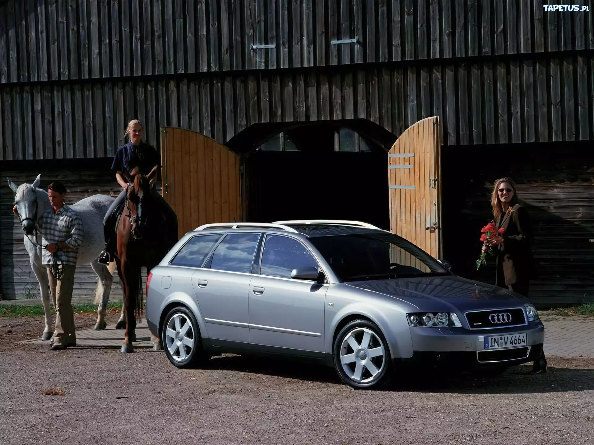 Audi A4, Avant, Konie