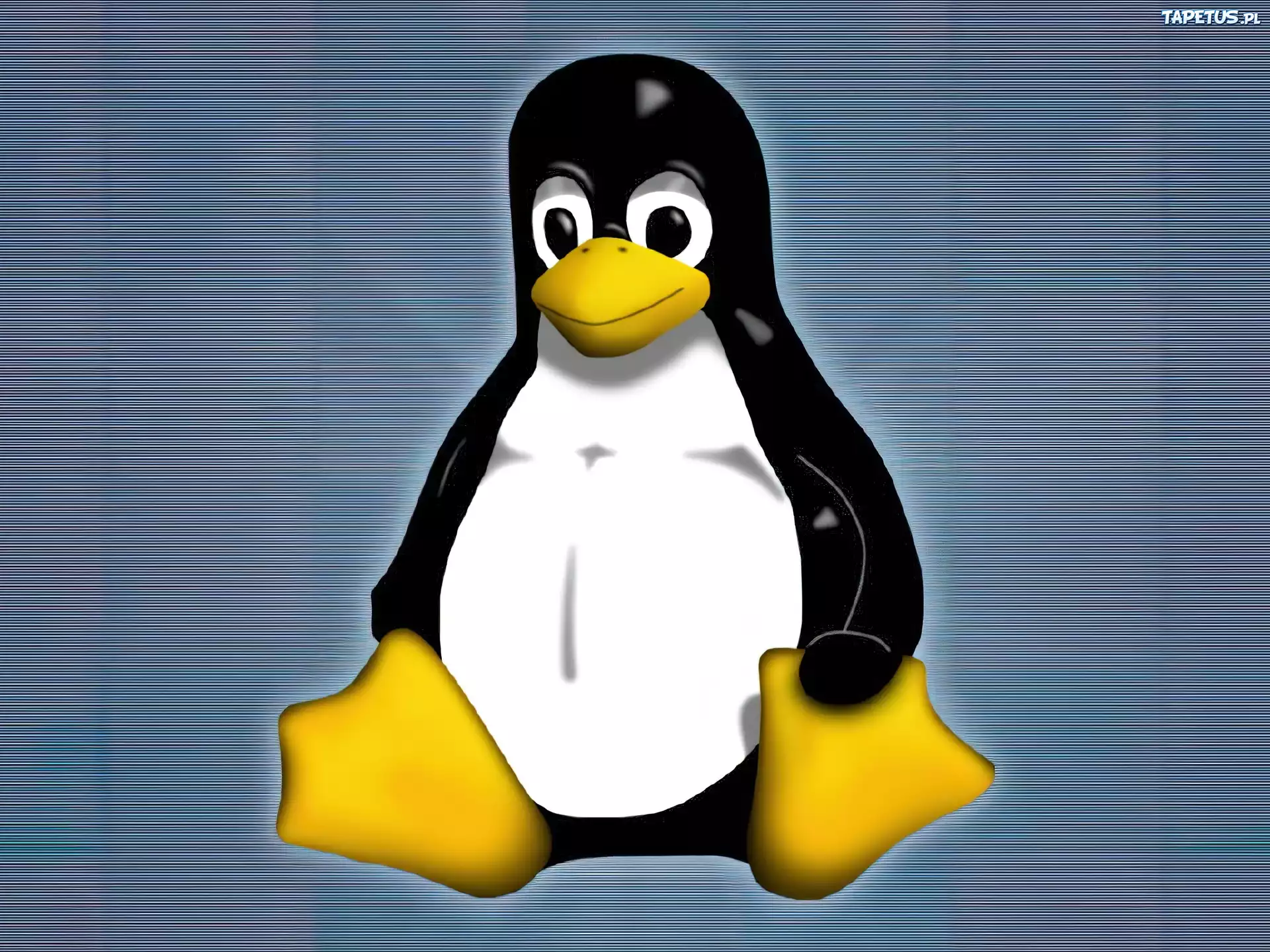 Linux, Pingwinek, Niebieskie, Tło