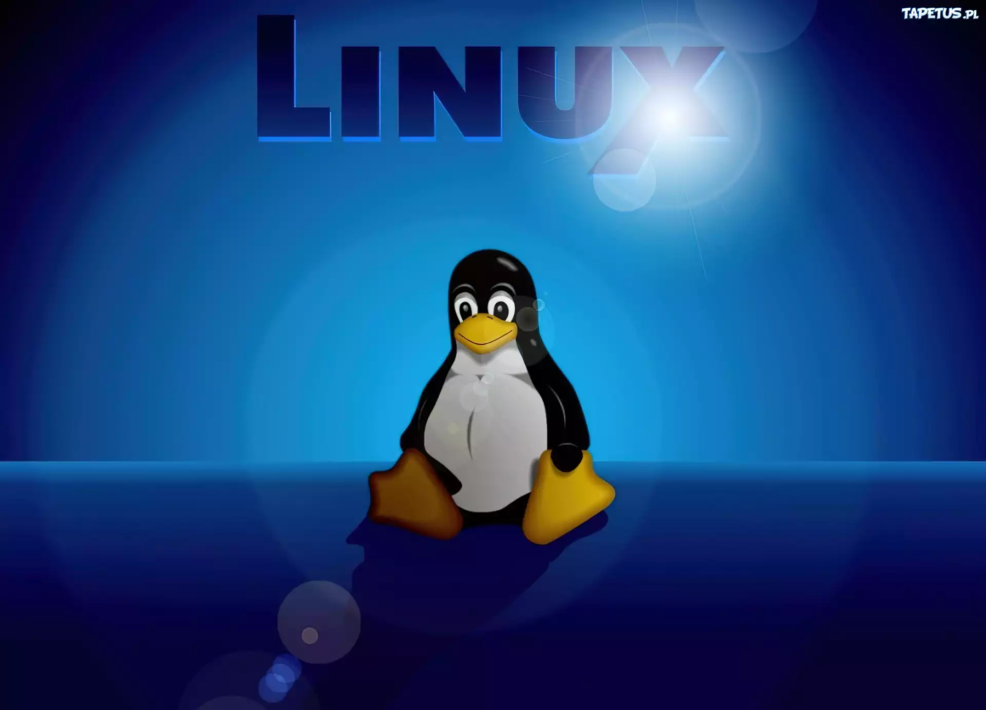 Linux, Pingwin, Niebieskie, Tło