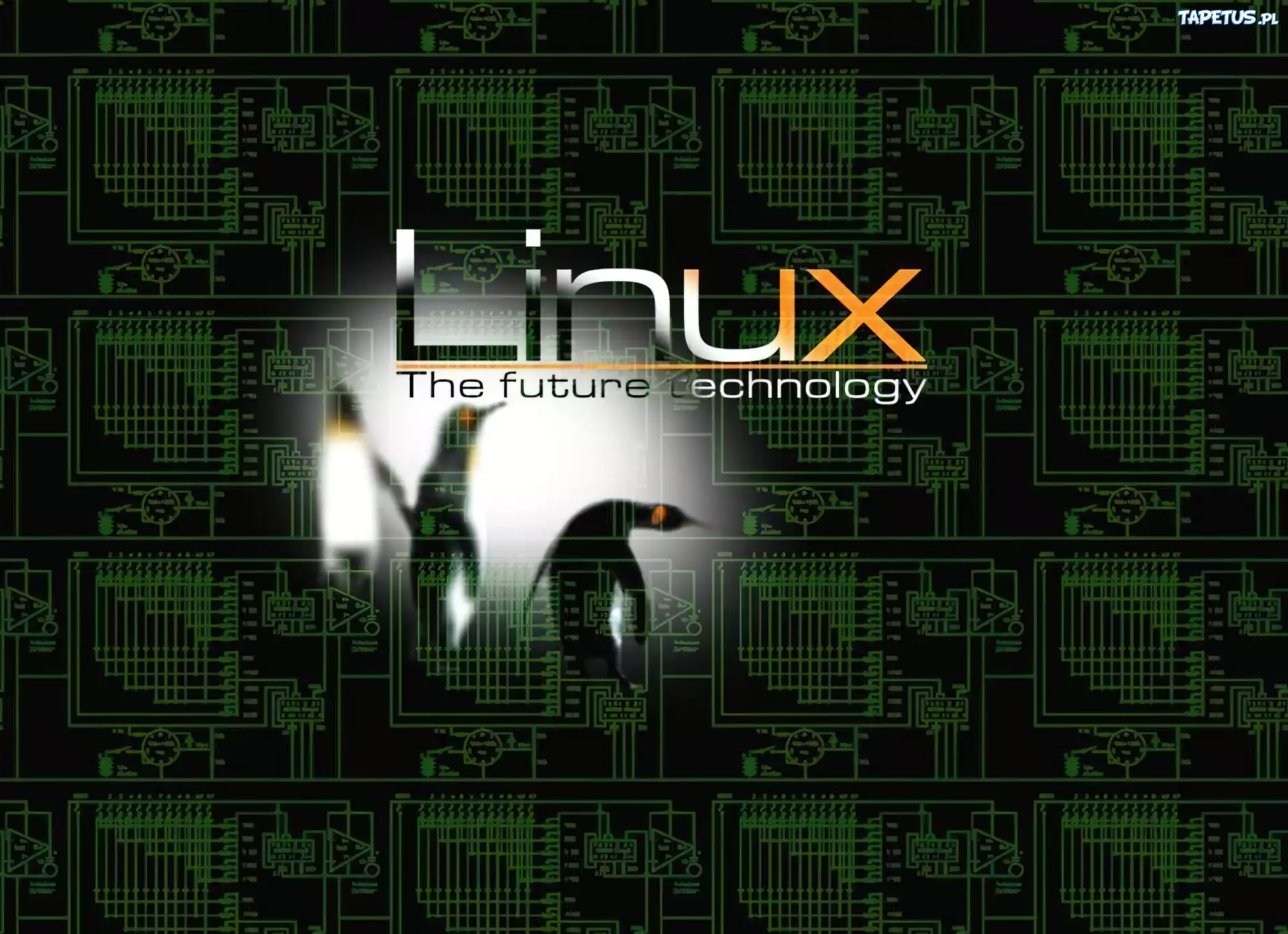 System, Linux