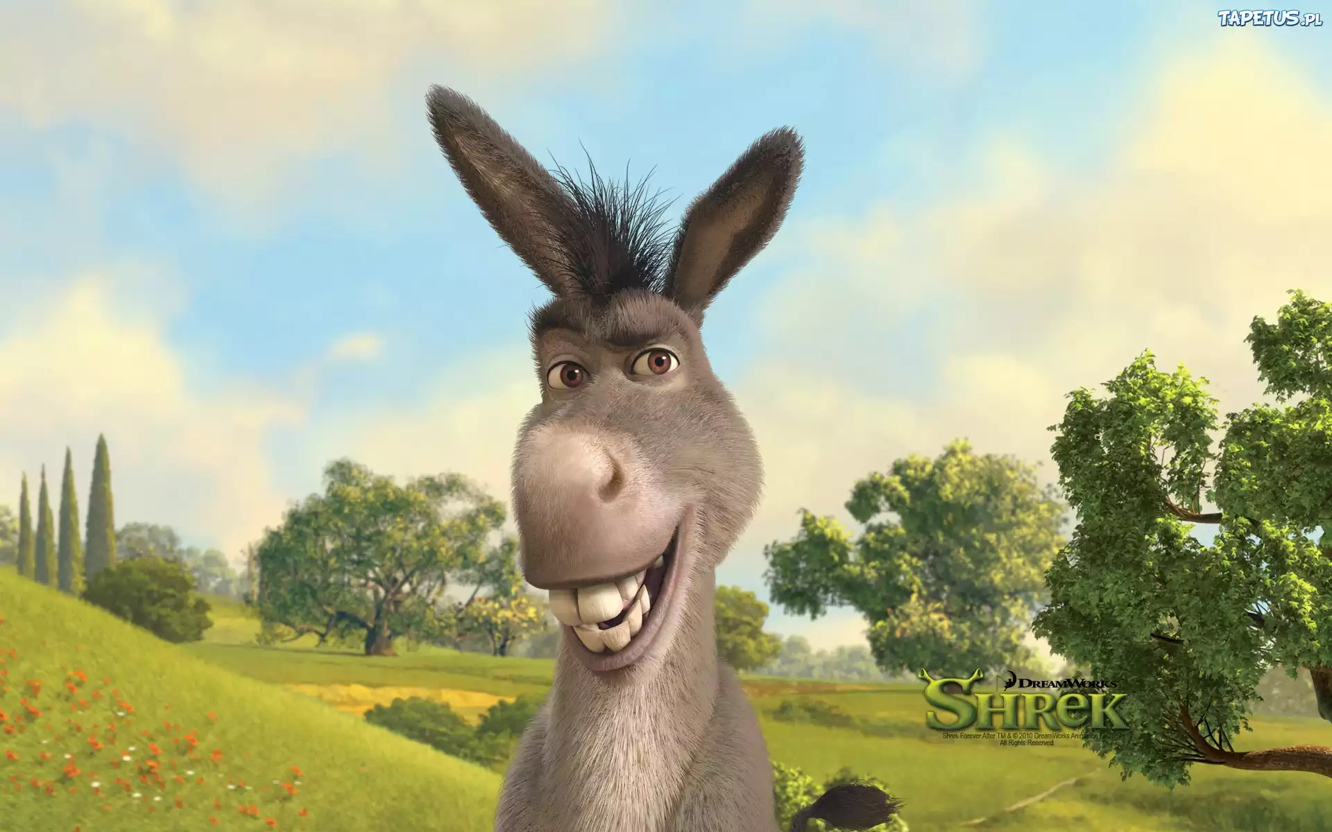 Shrek, Osioł
