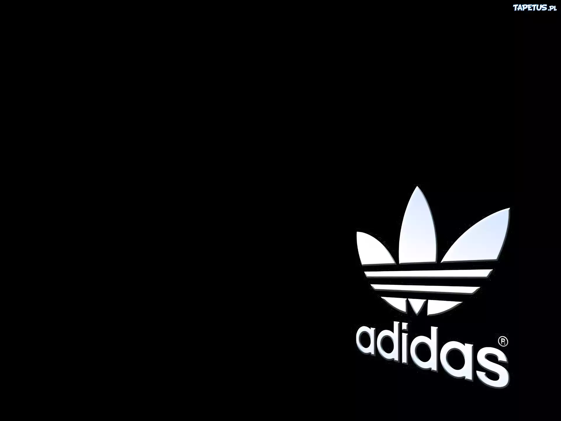 Białe, Logo, Adidas, Czarne, Tło