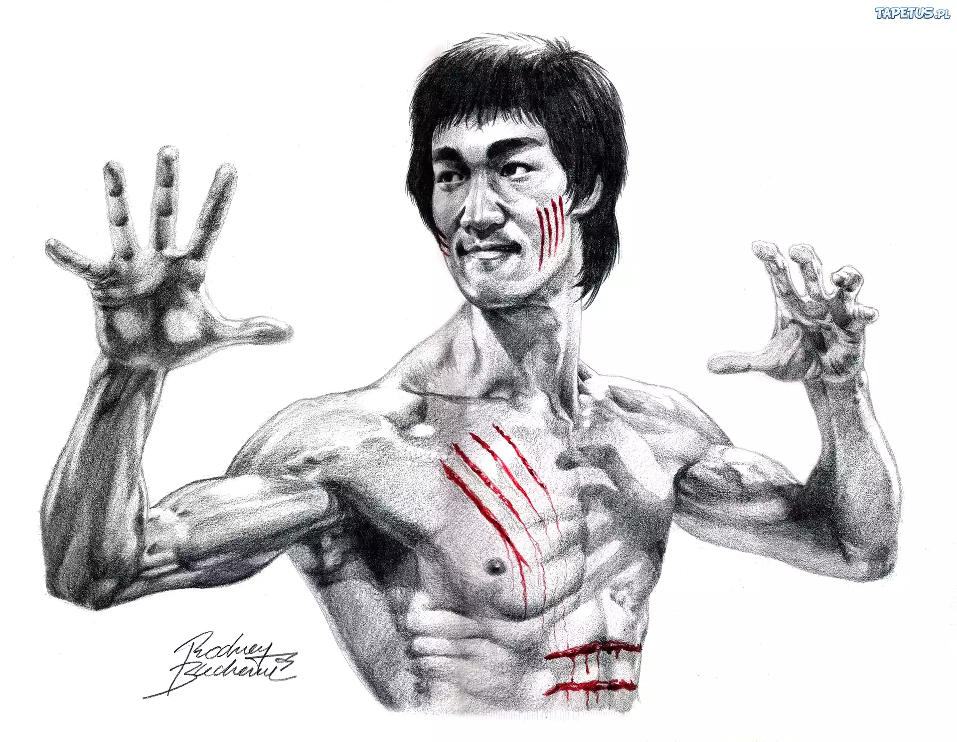 Bruce, Lee, Rysunek