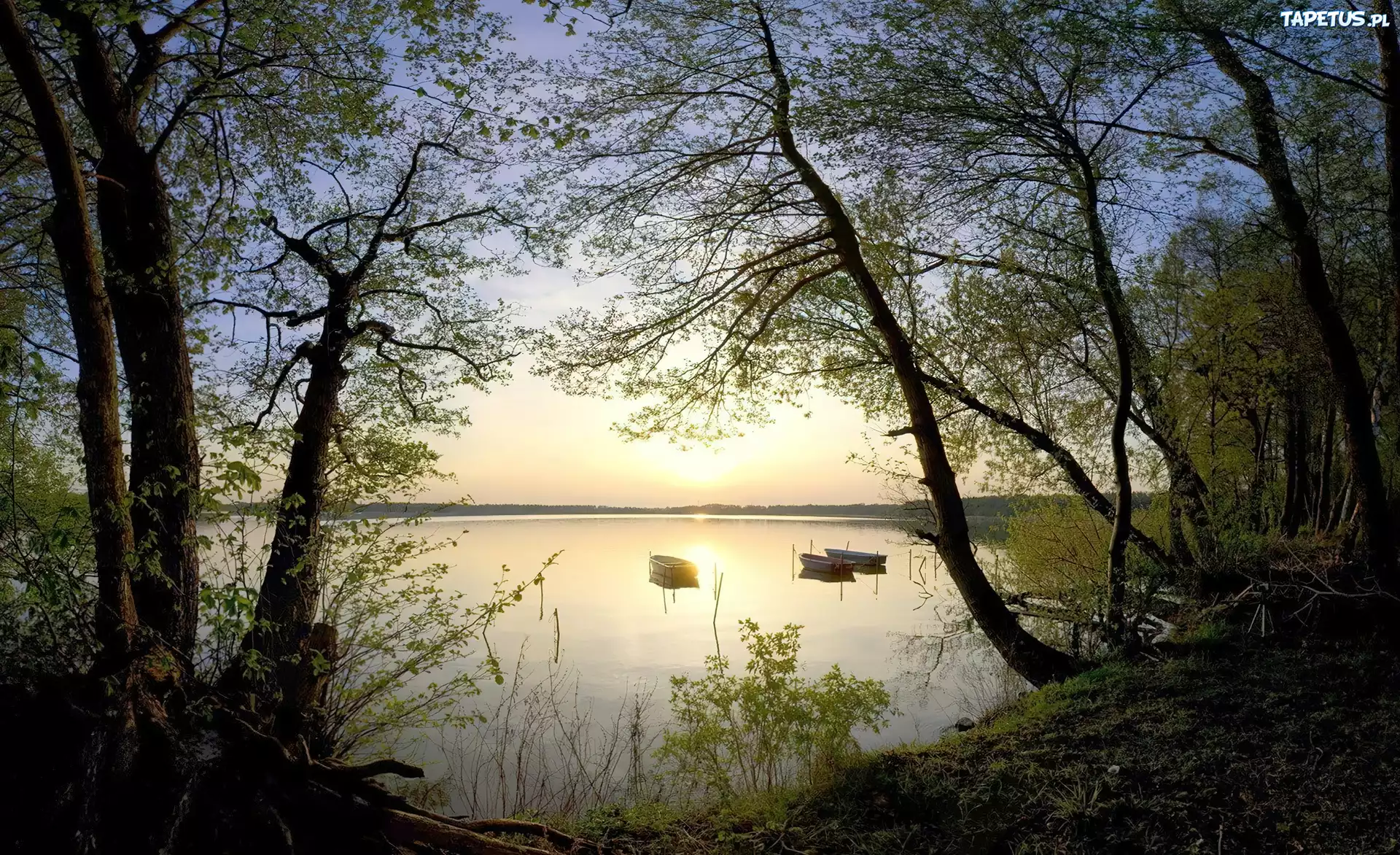 Jezioro, Drzewa, Łódki
