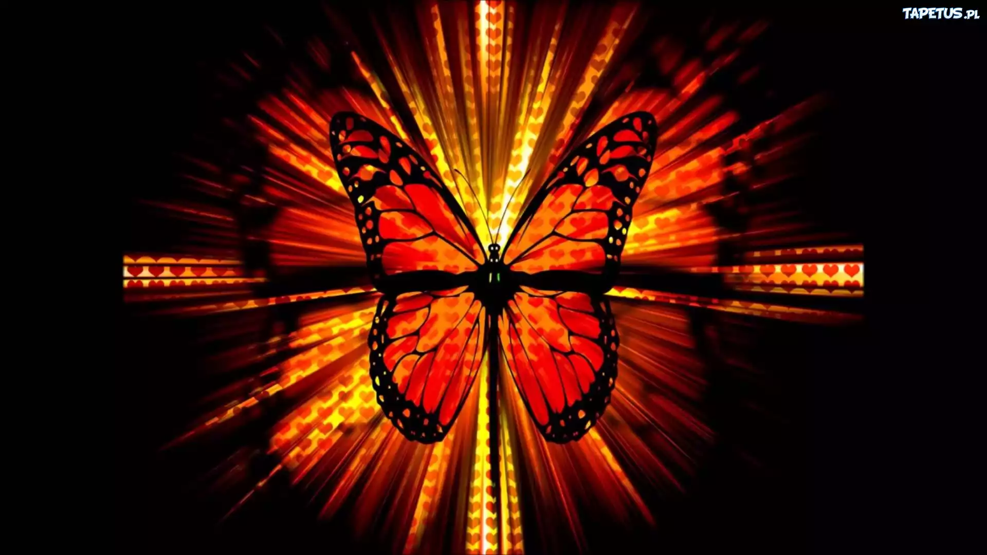 Pomarańczowo, Czerwony, Motyl, Grafika