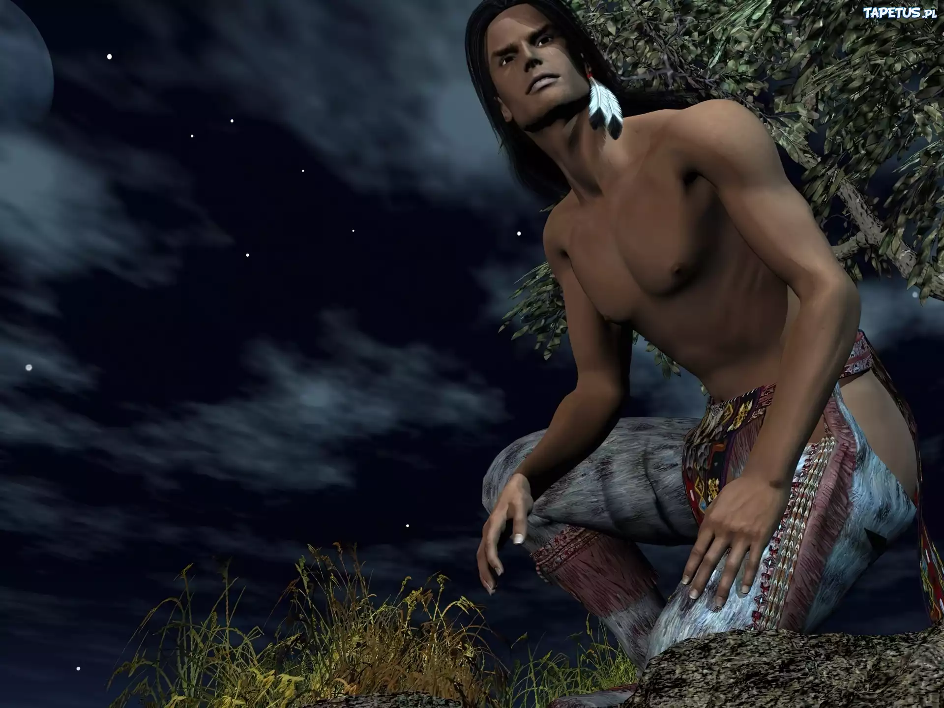 Indianin, 3D