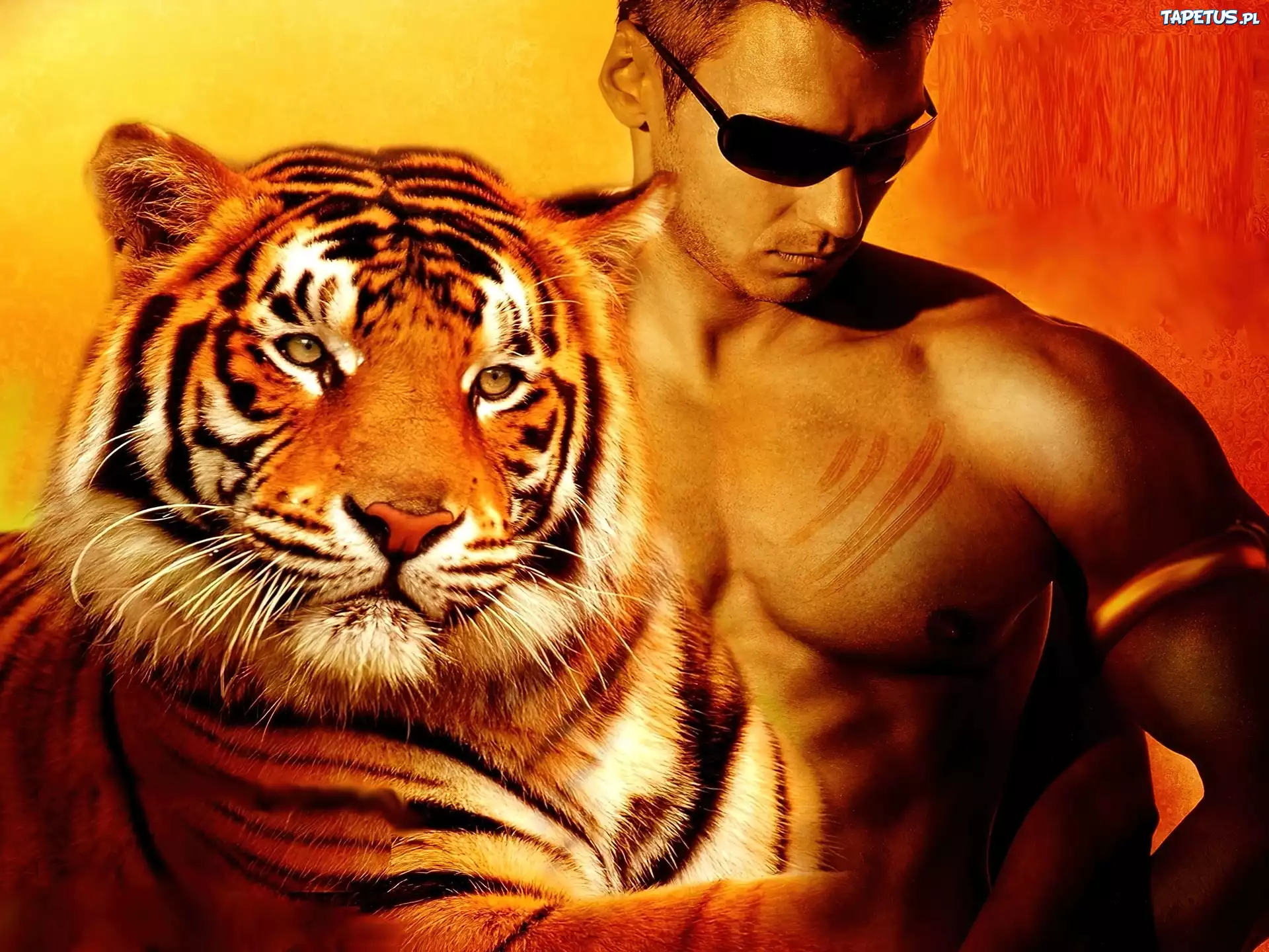 Тигр и собака мужчина. Парень с тигром. Фотосессия мужчин с тиграми. Фотосессия мужчины с тиром. Тигр на аву.