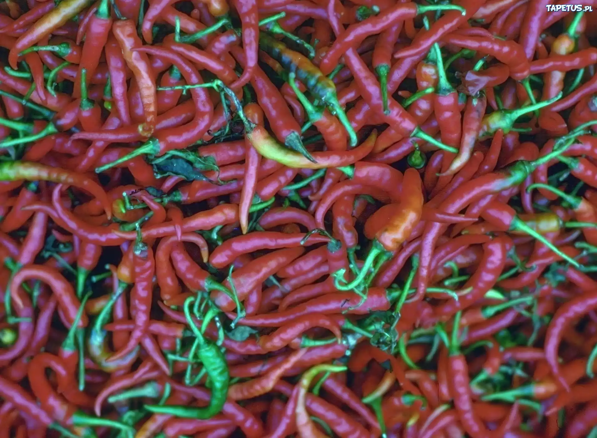 Kolorowe, Papryczki, Chili