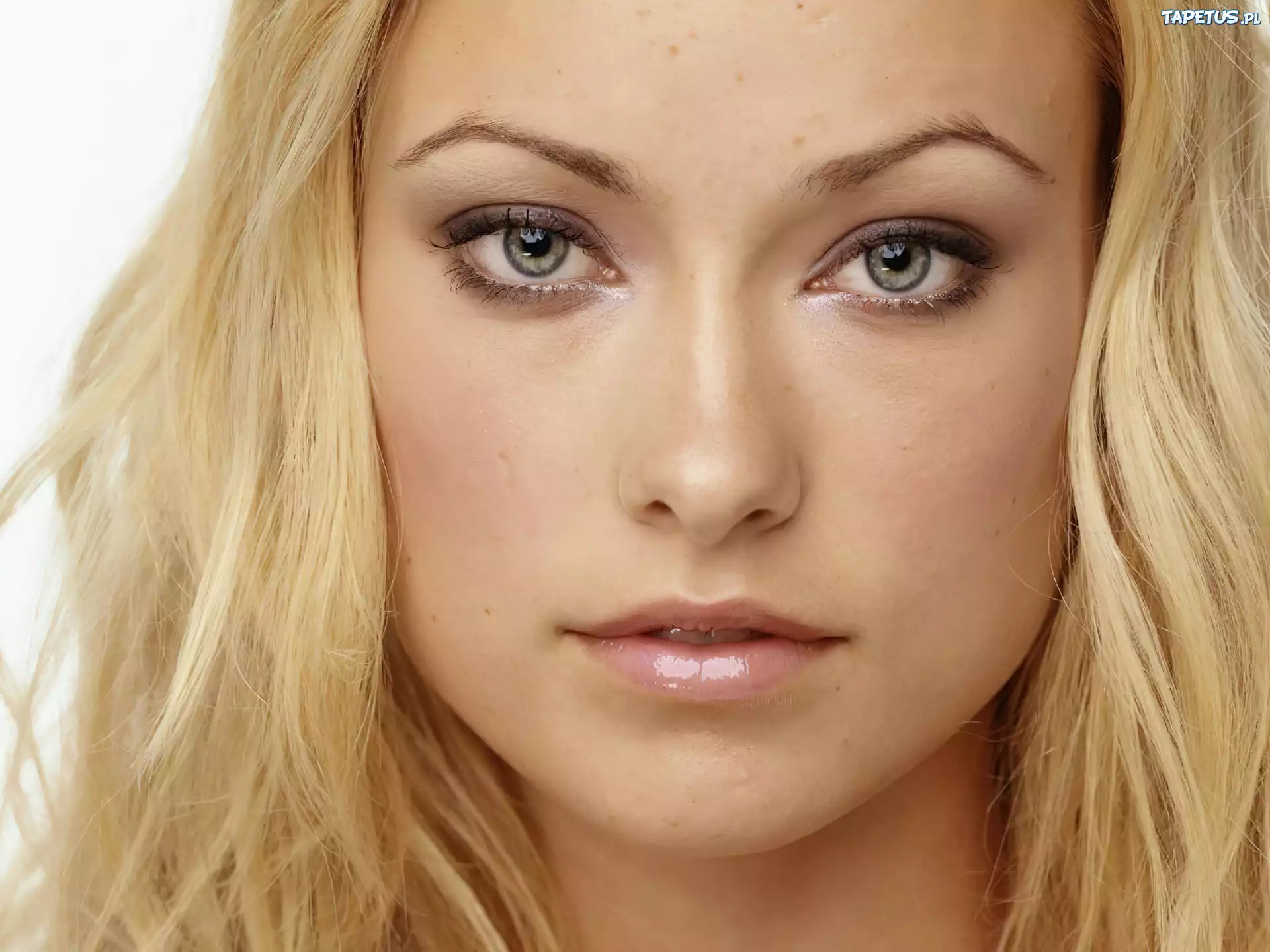 Olivia Wilde, Buzia