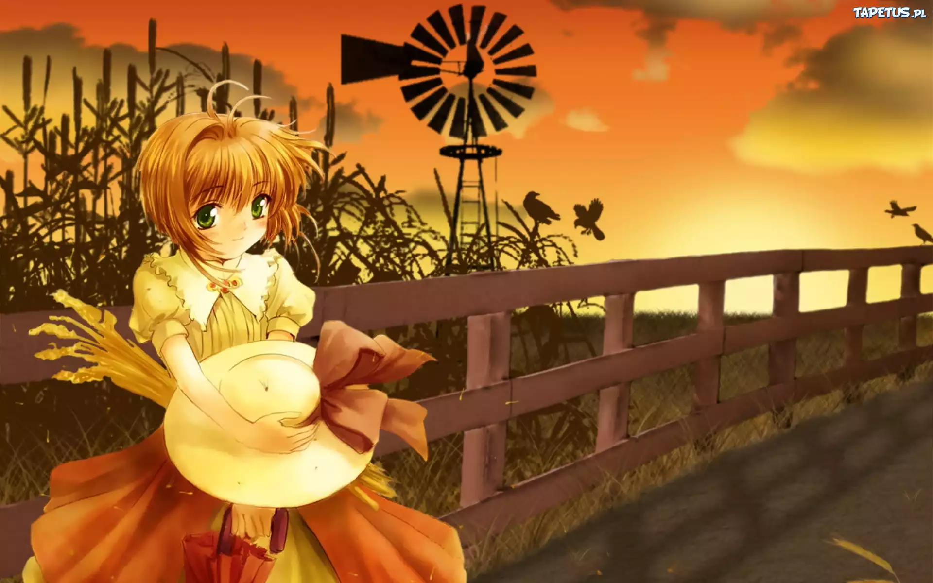 Cardcaptor Sakura, wiatrak, dziewczyna, kapelusz, płot