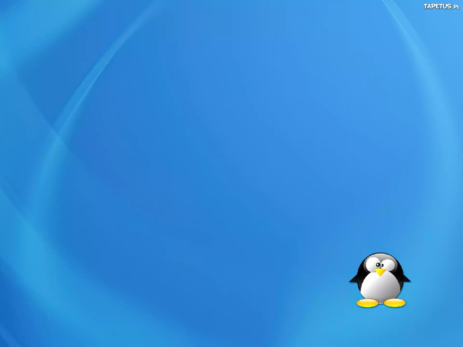 Linux, pingwin, grafika