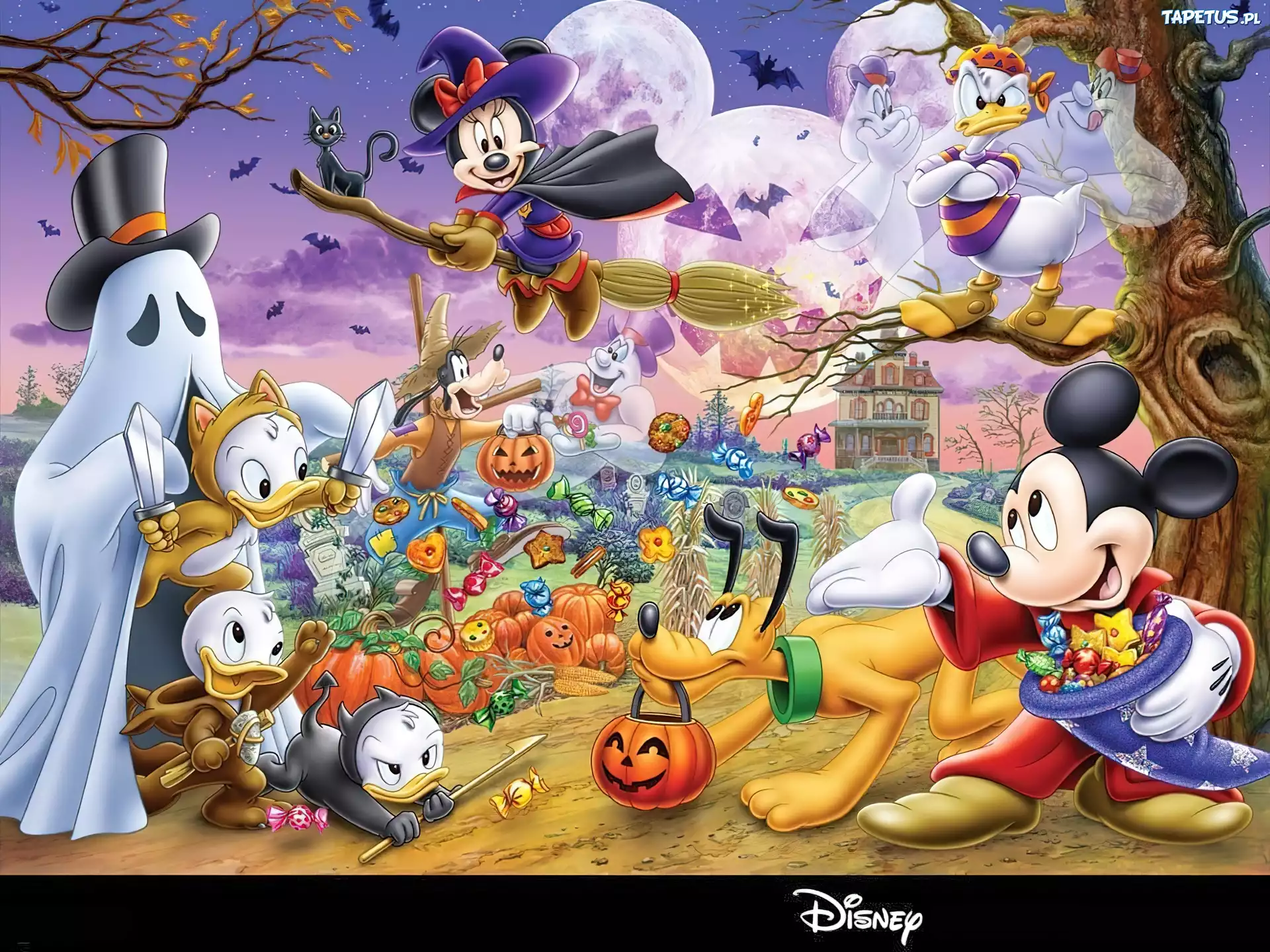 Disney, Miki, Pluto, Donald, Duch