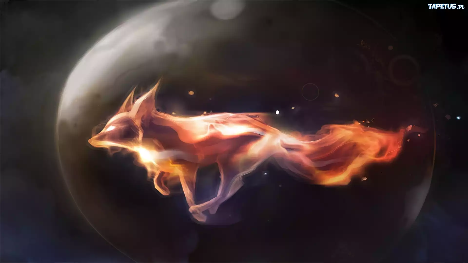 Firefox