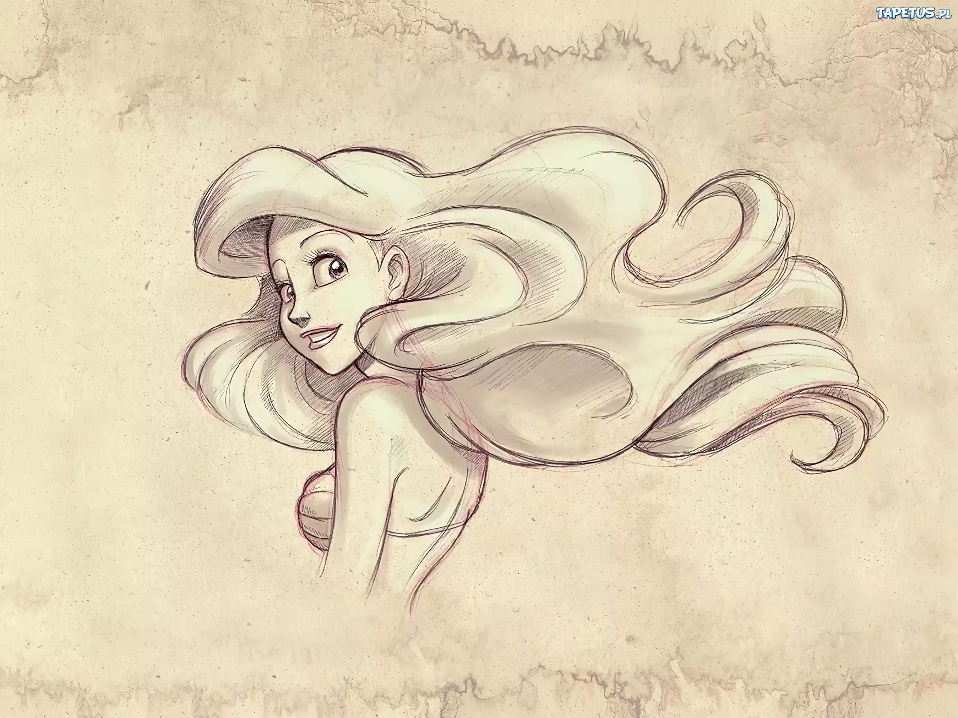 Ariel, Rysunek
