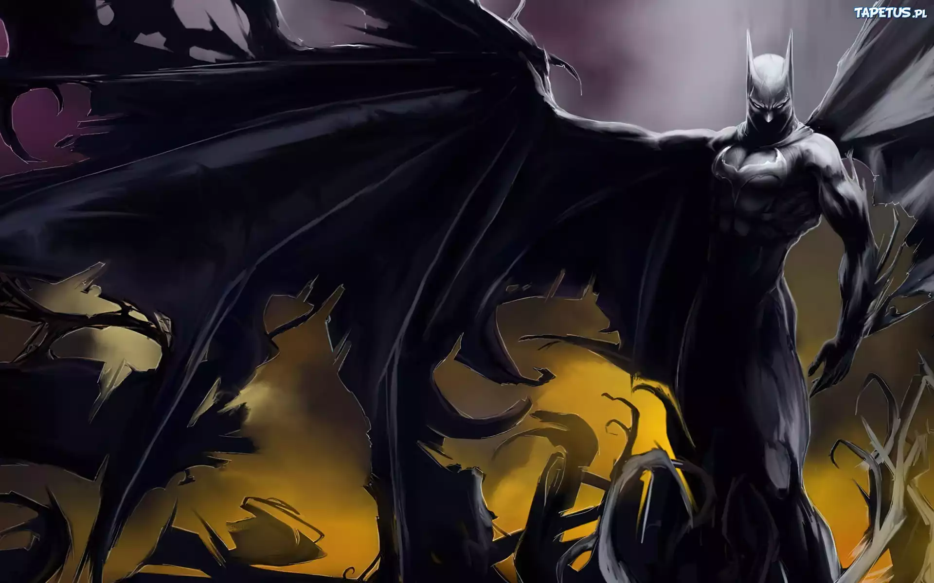 Batman, Skrzydło
