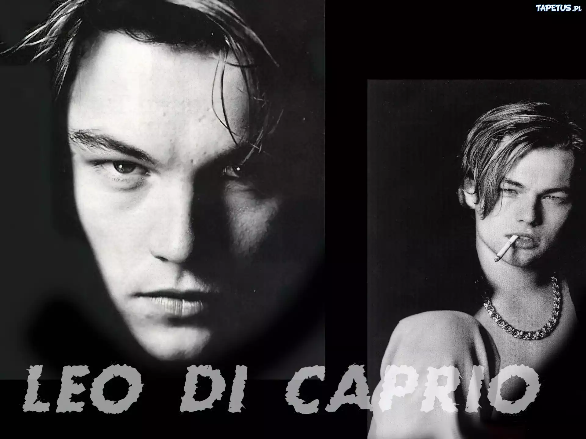 Leonardo DiCaprio,papieros, łańcuch