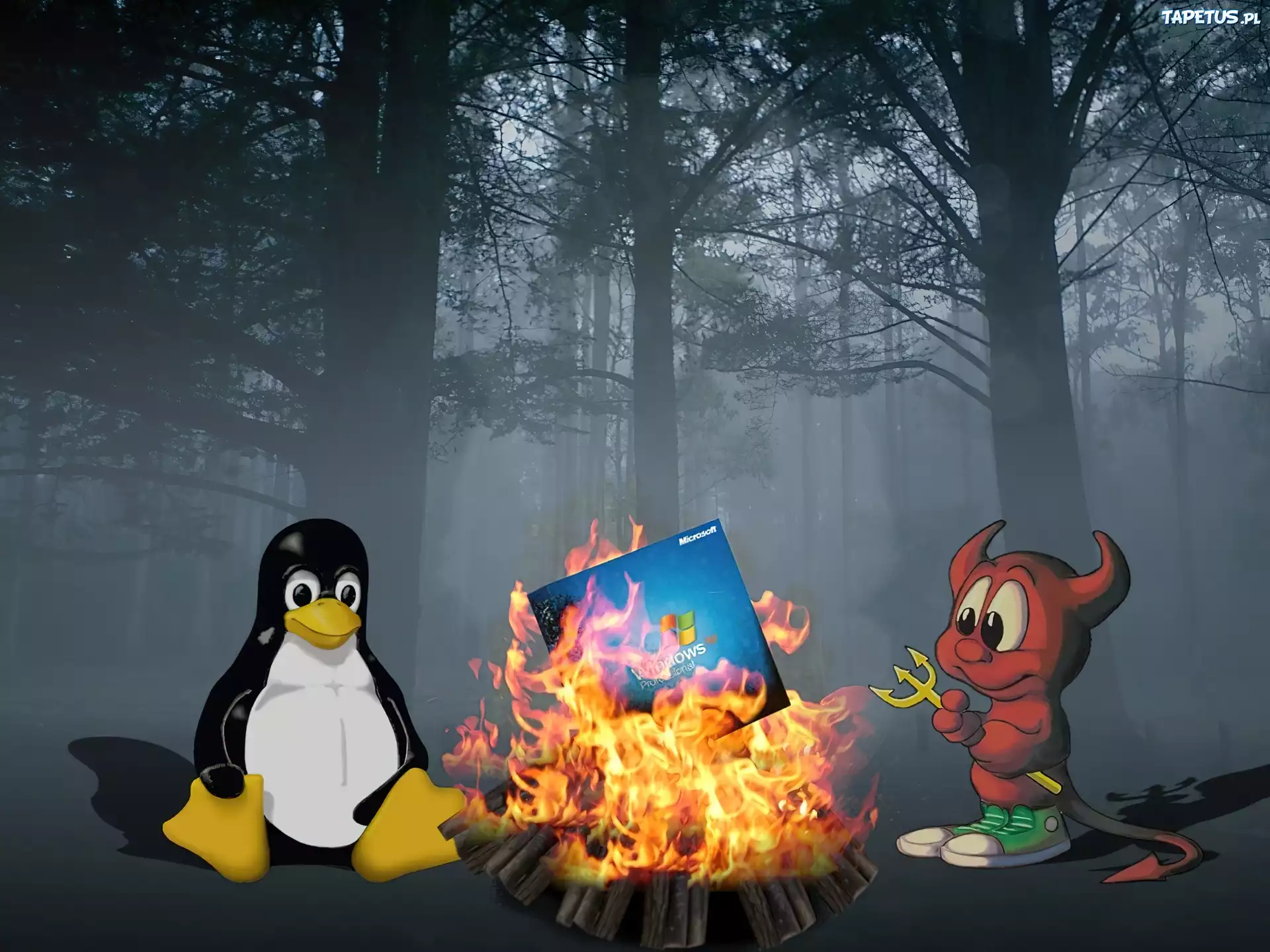 Linux, Kontra, Windows