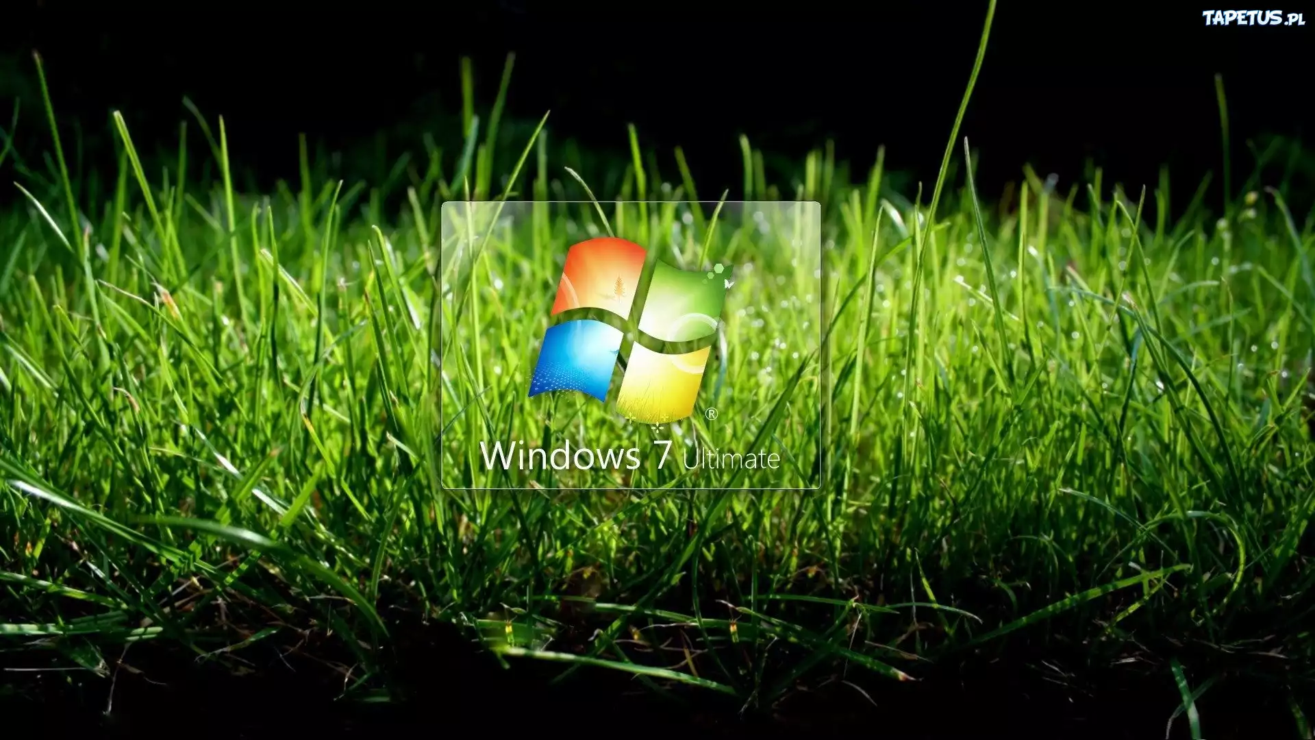 Windows 7, Trawa, Logo
