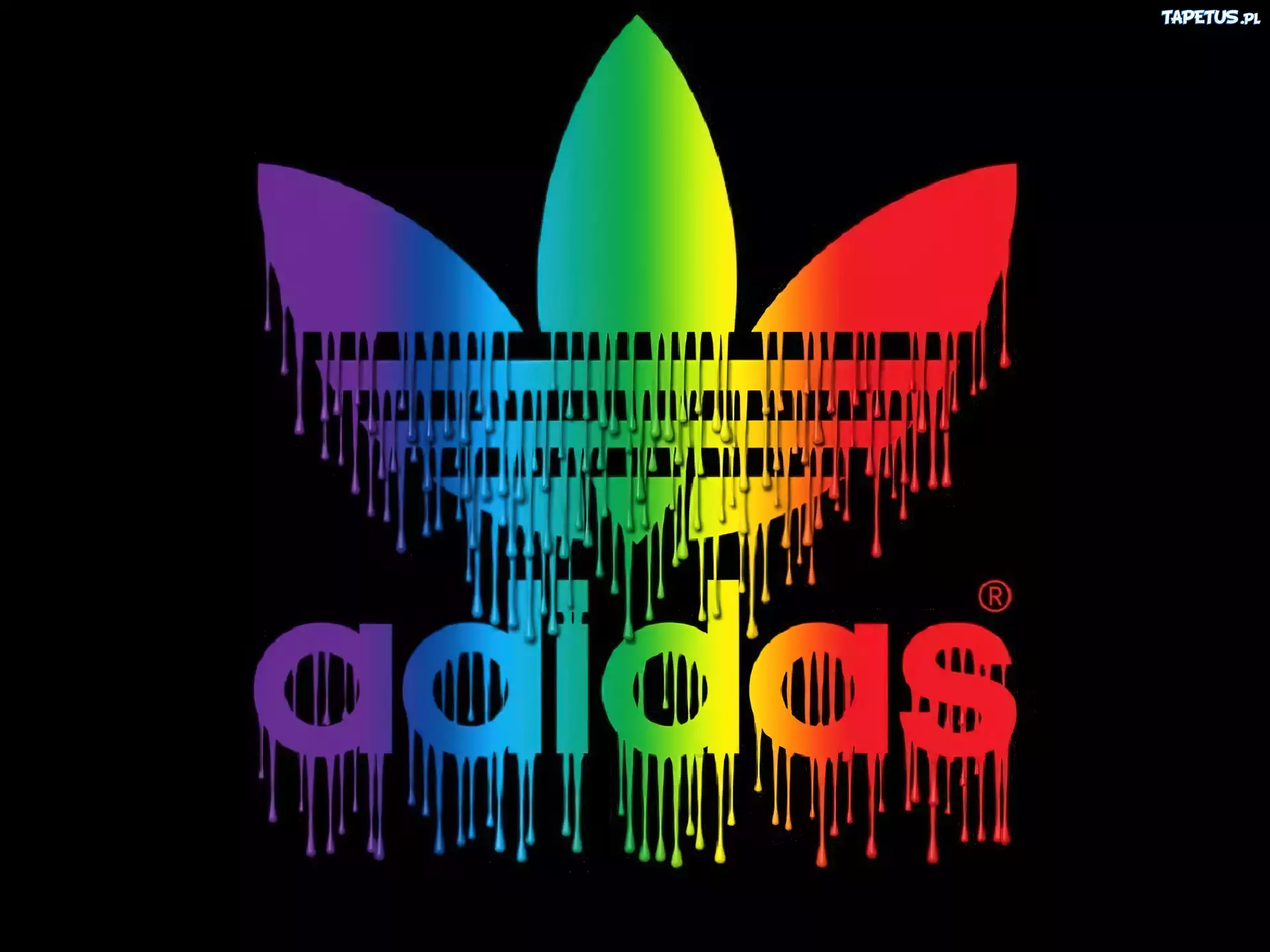 Kolorowe, Kapiące, Logo, Adidas