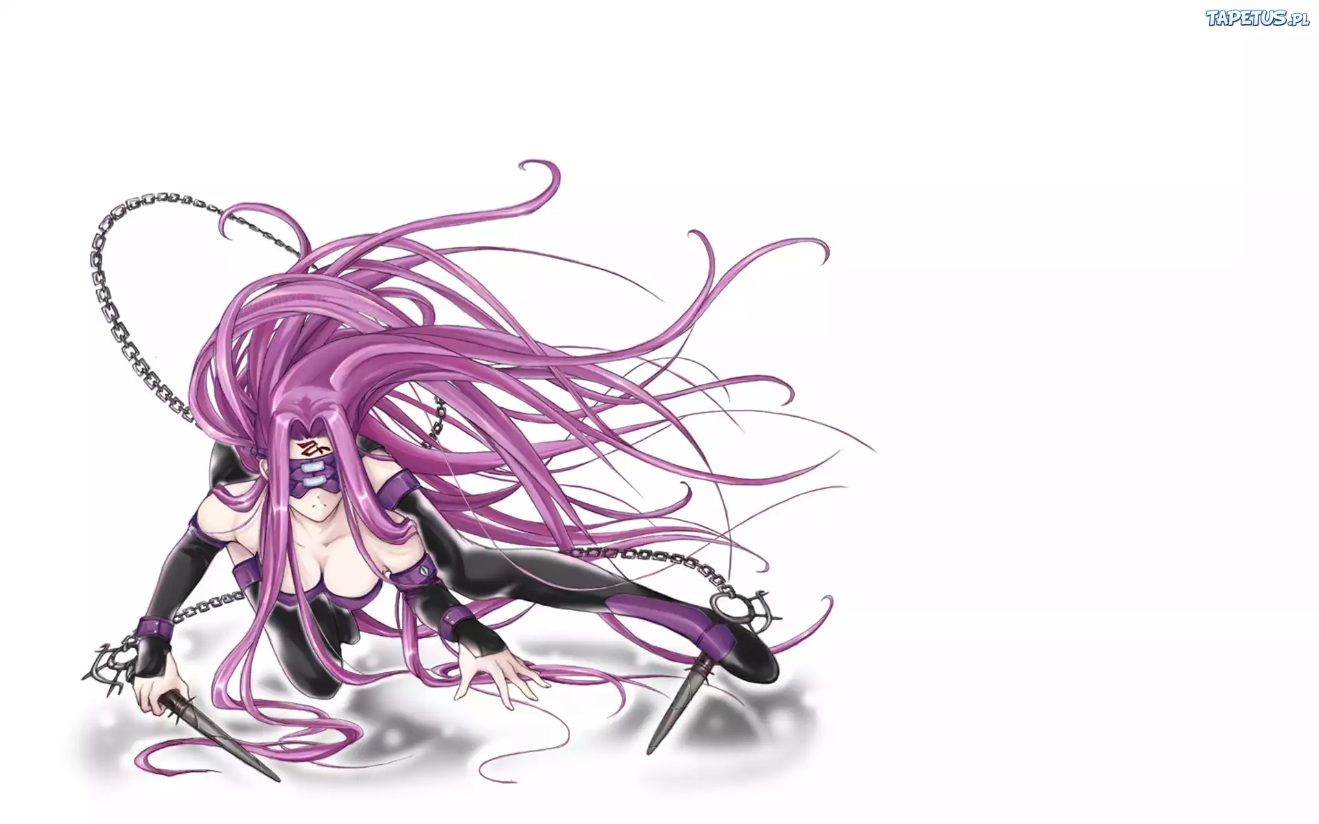 Dziewczyna, Włosy, Fate Stay Night