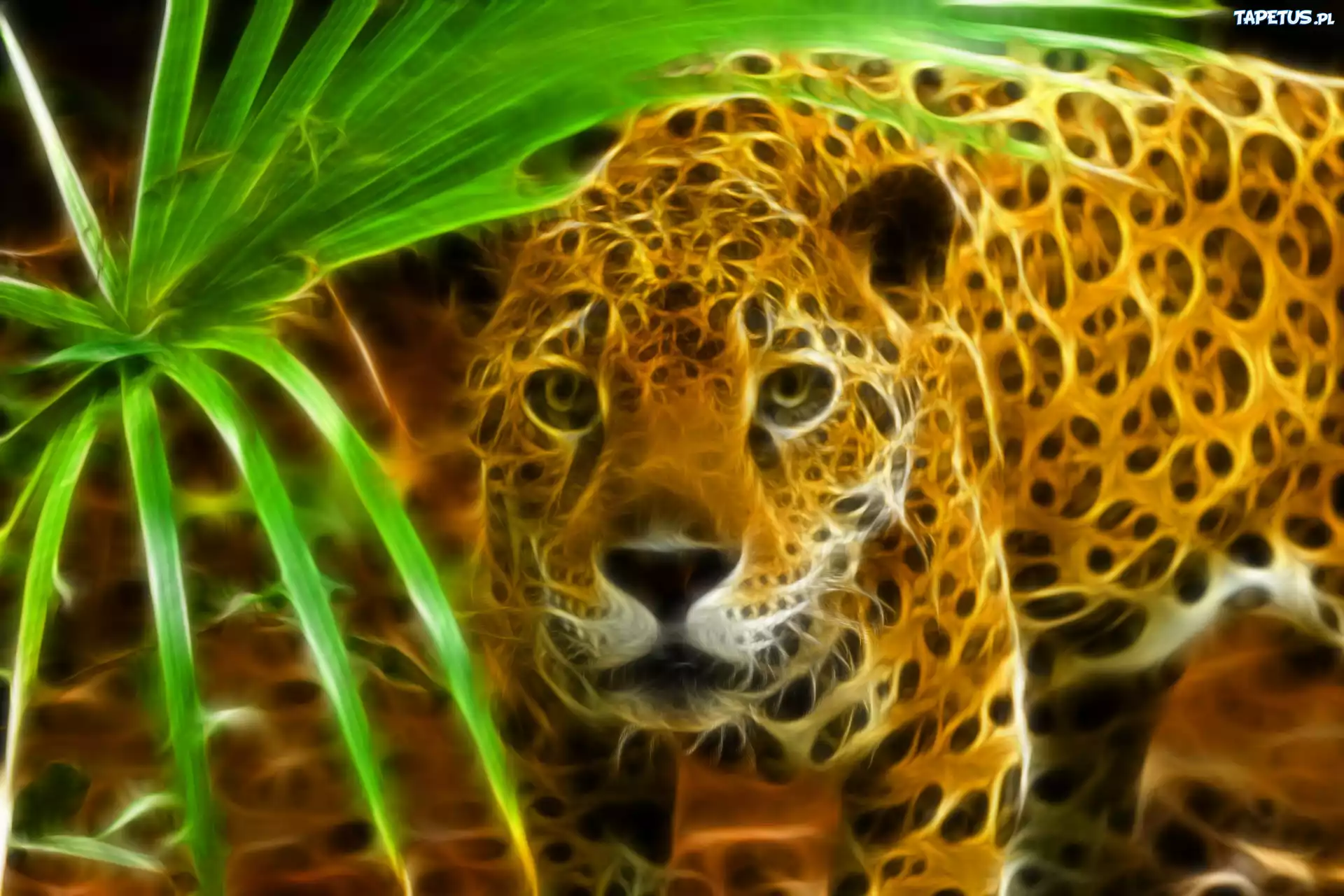 Jaguar, Fractalius