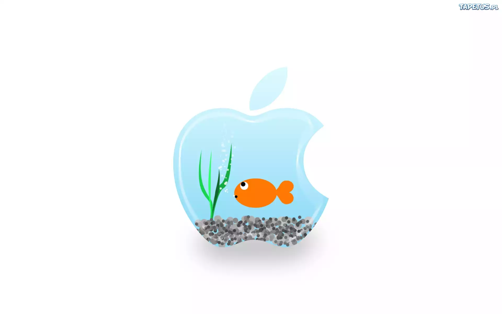 Akwarium, Apple