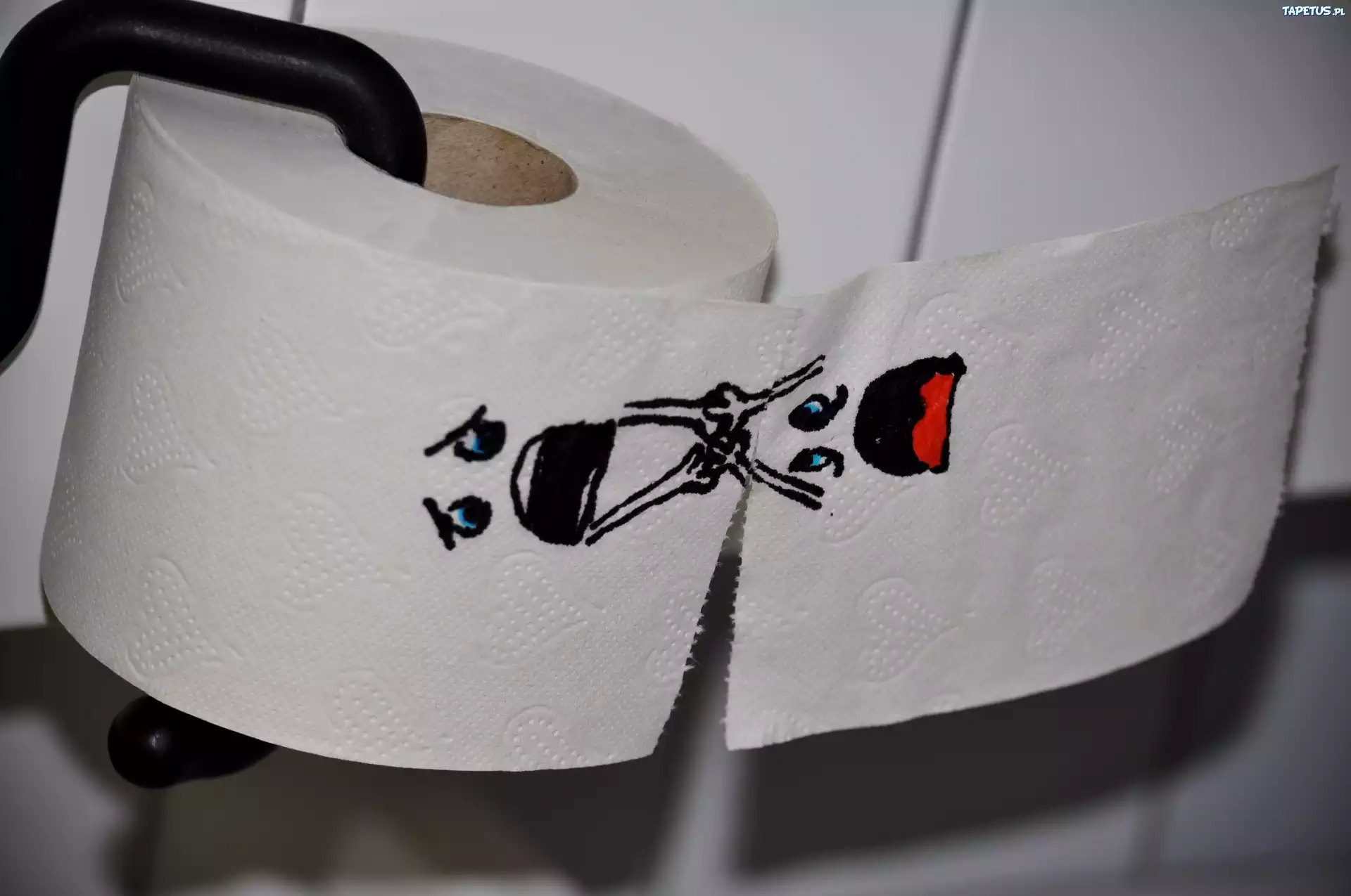 Papier, Toaletowy