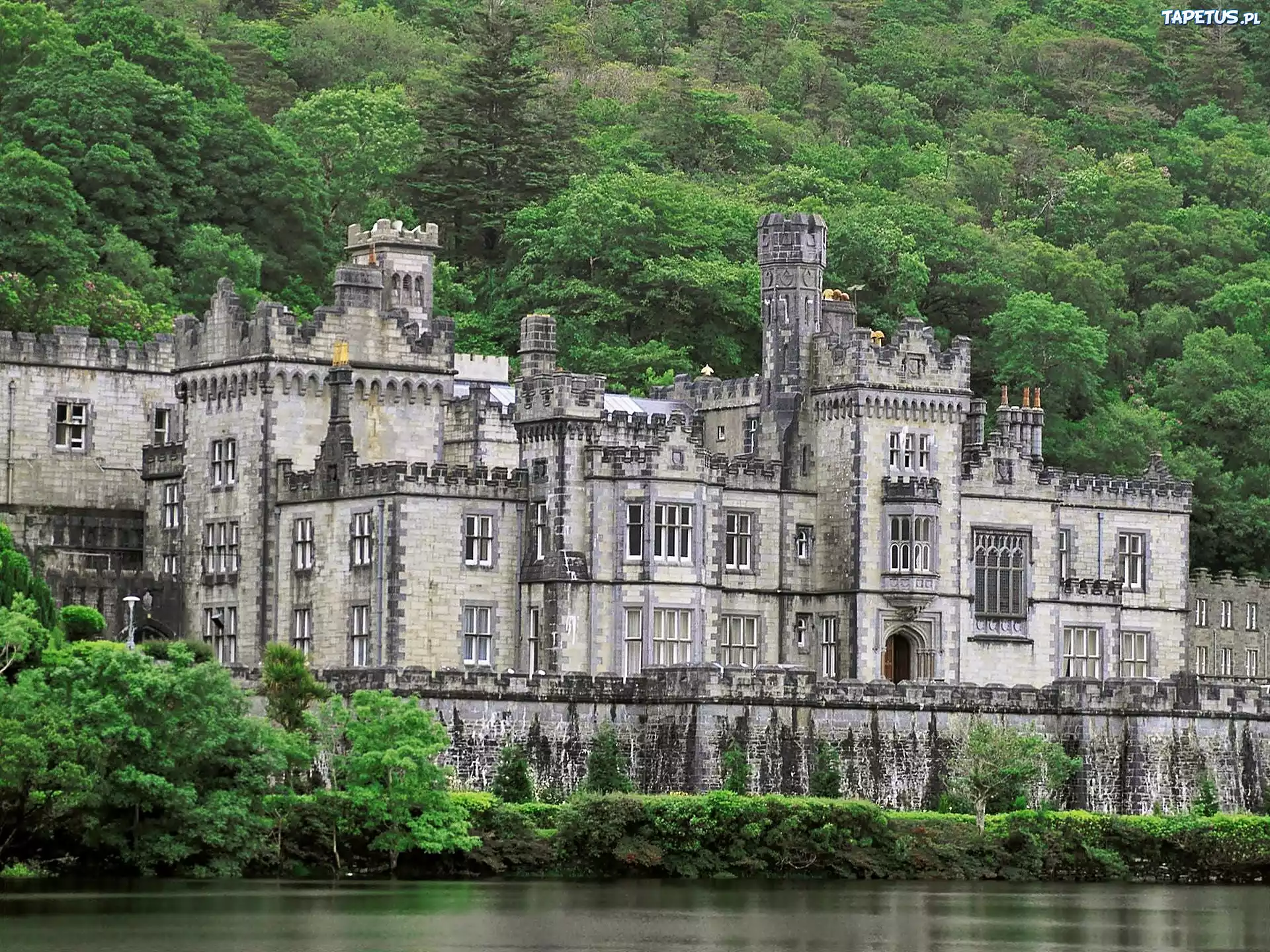 Irlandia, Zamek