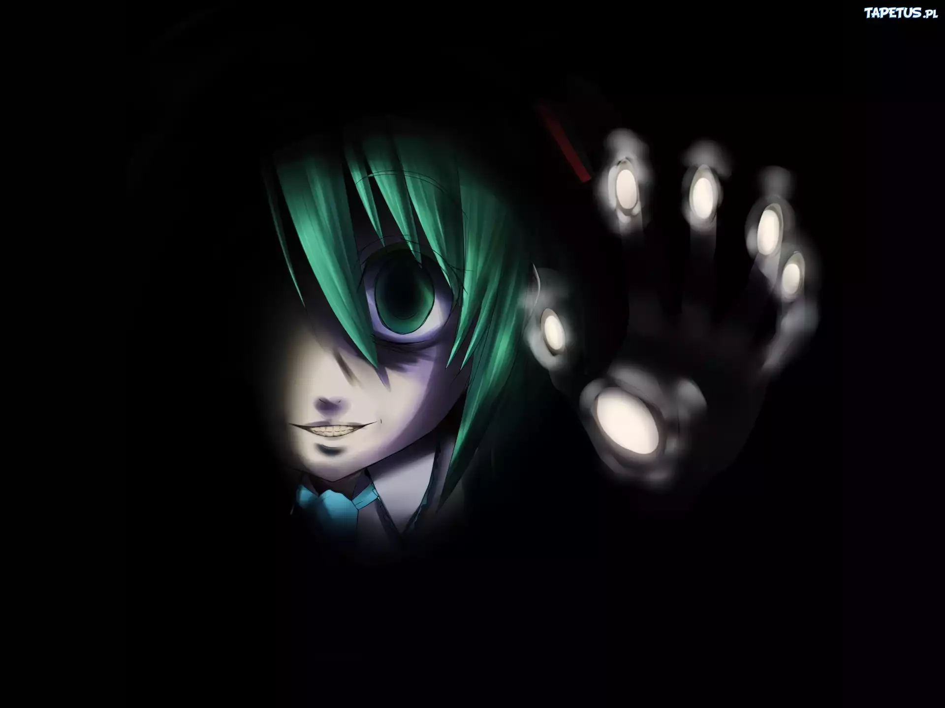 Hatsune MIku, Palce