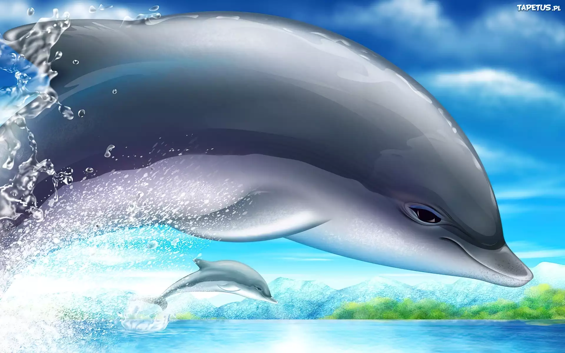 Delfinek, Woda