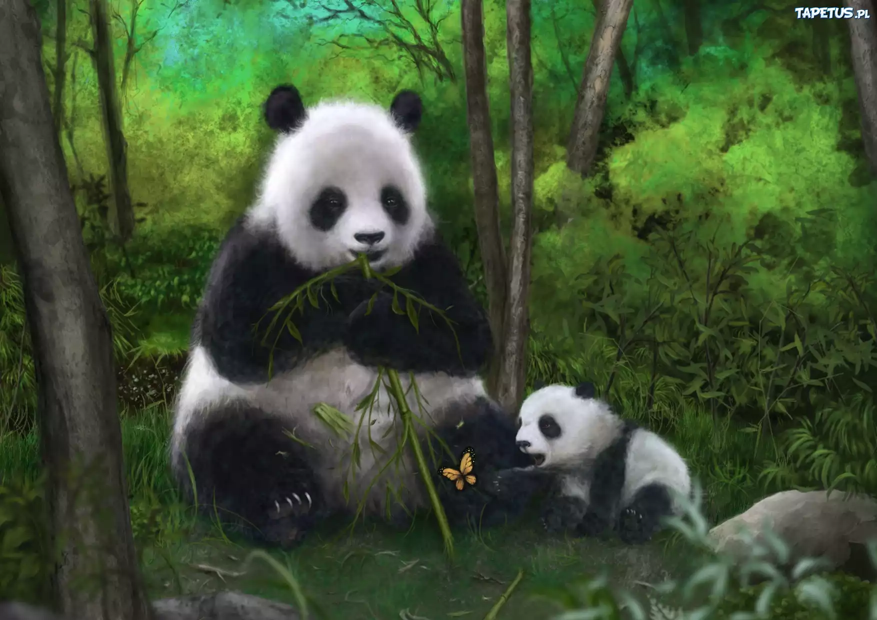 Pandy, Bambus, Motyl