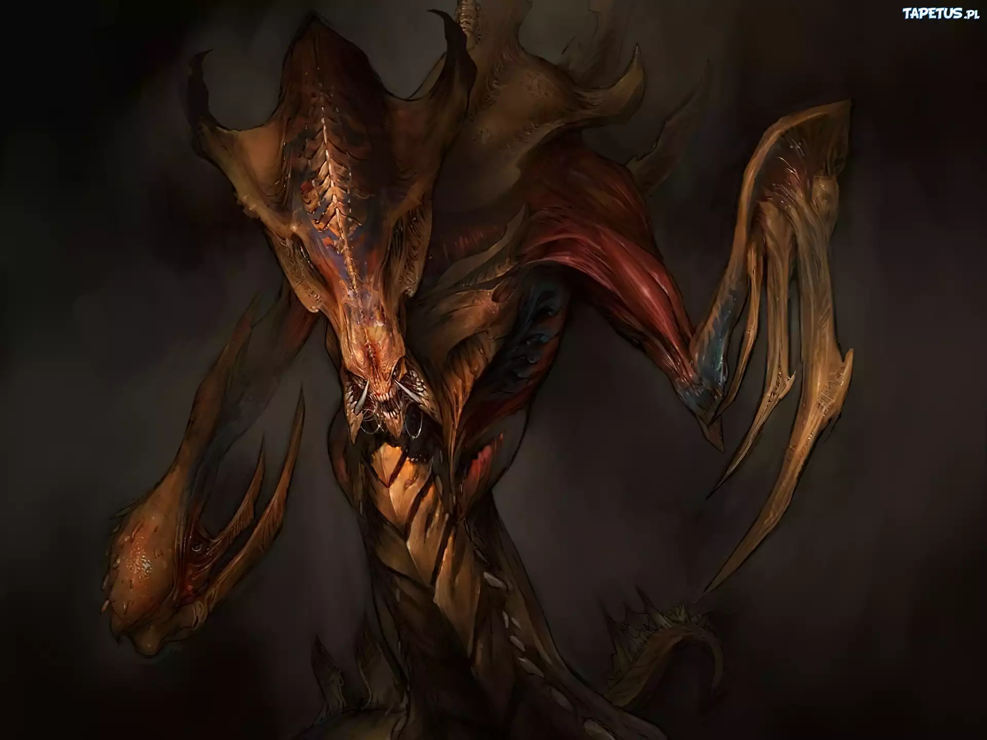 Starcraft 2, potwór, skrzydła, kły