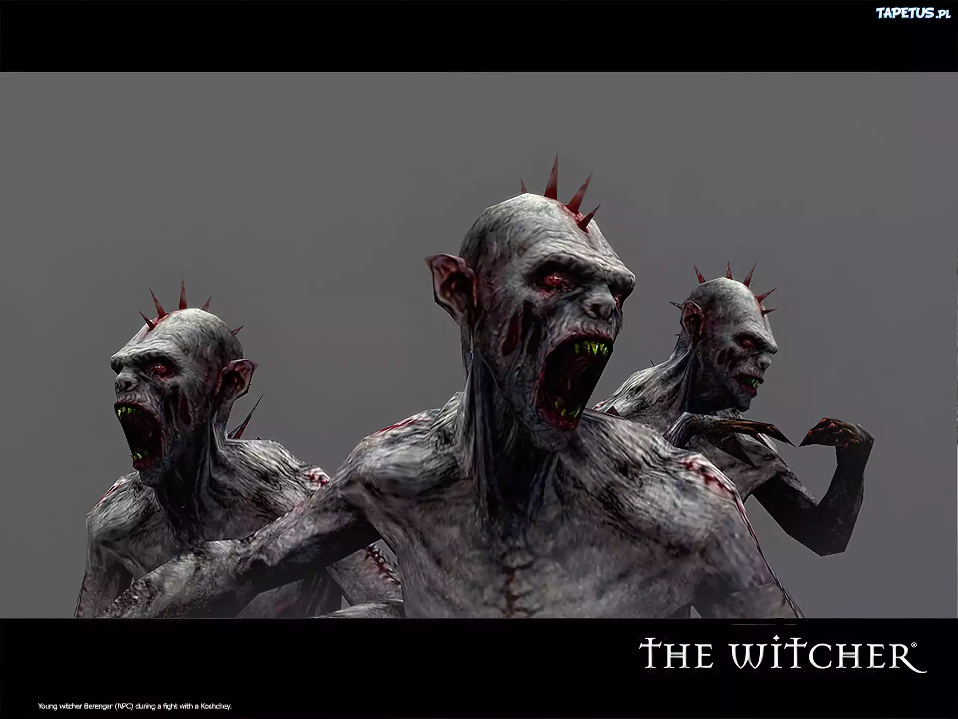 potwór, kolce, kły, The Witcher