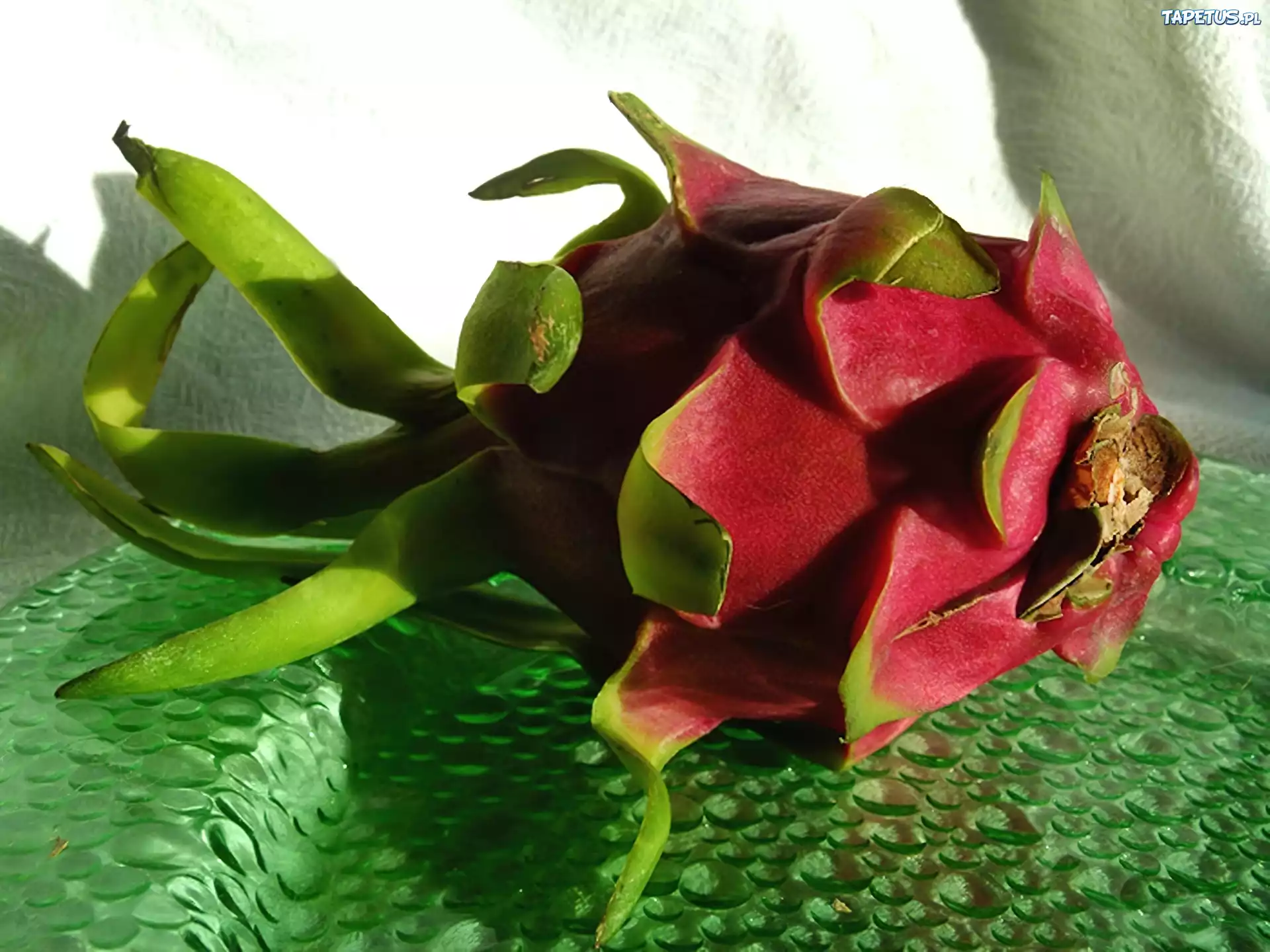 Smoczy, Owoc, Pitahaja