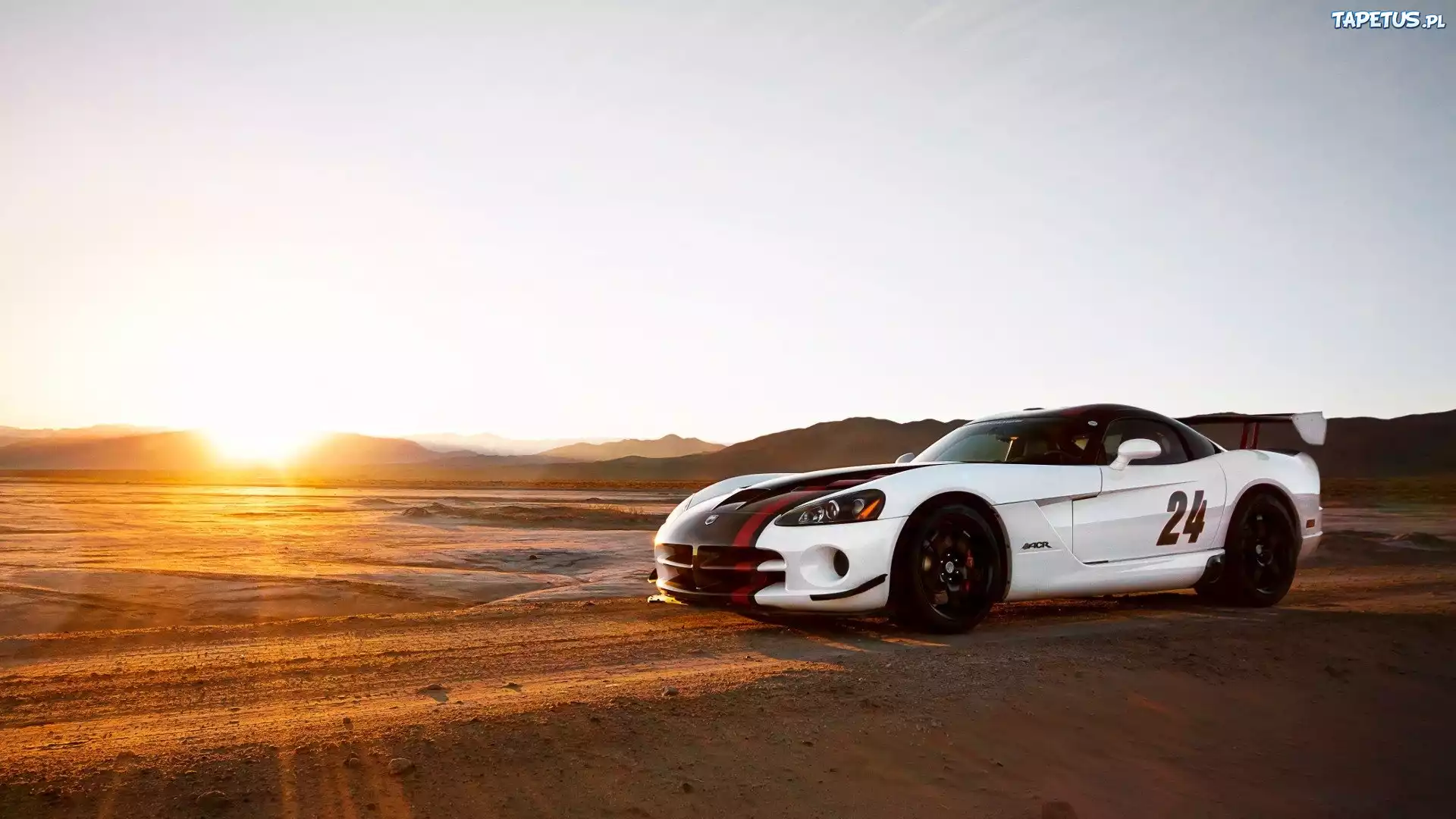 Dodge Viper, Numer 24