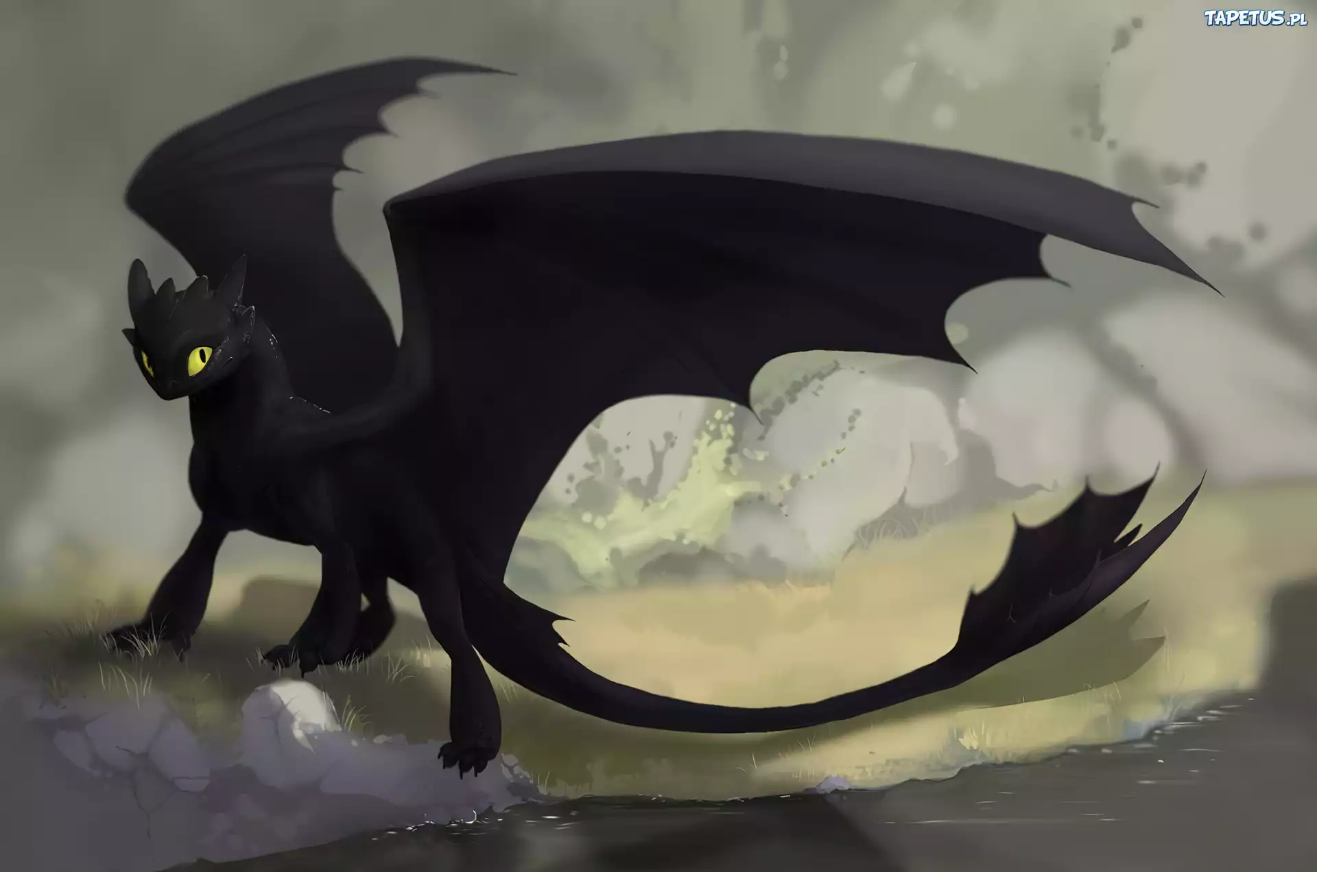 Nocna Furia