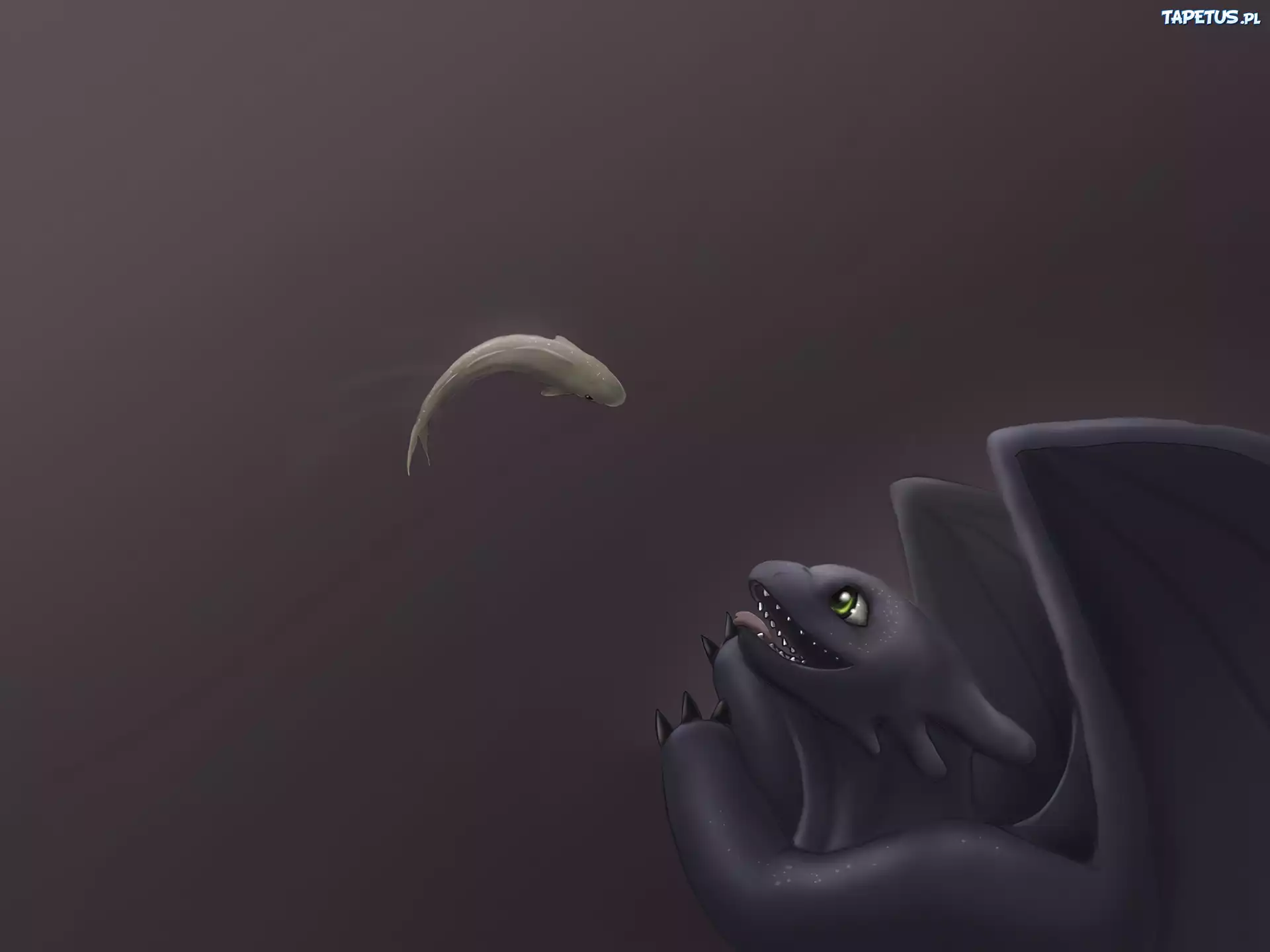 Nocna Furia, Ryba